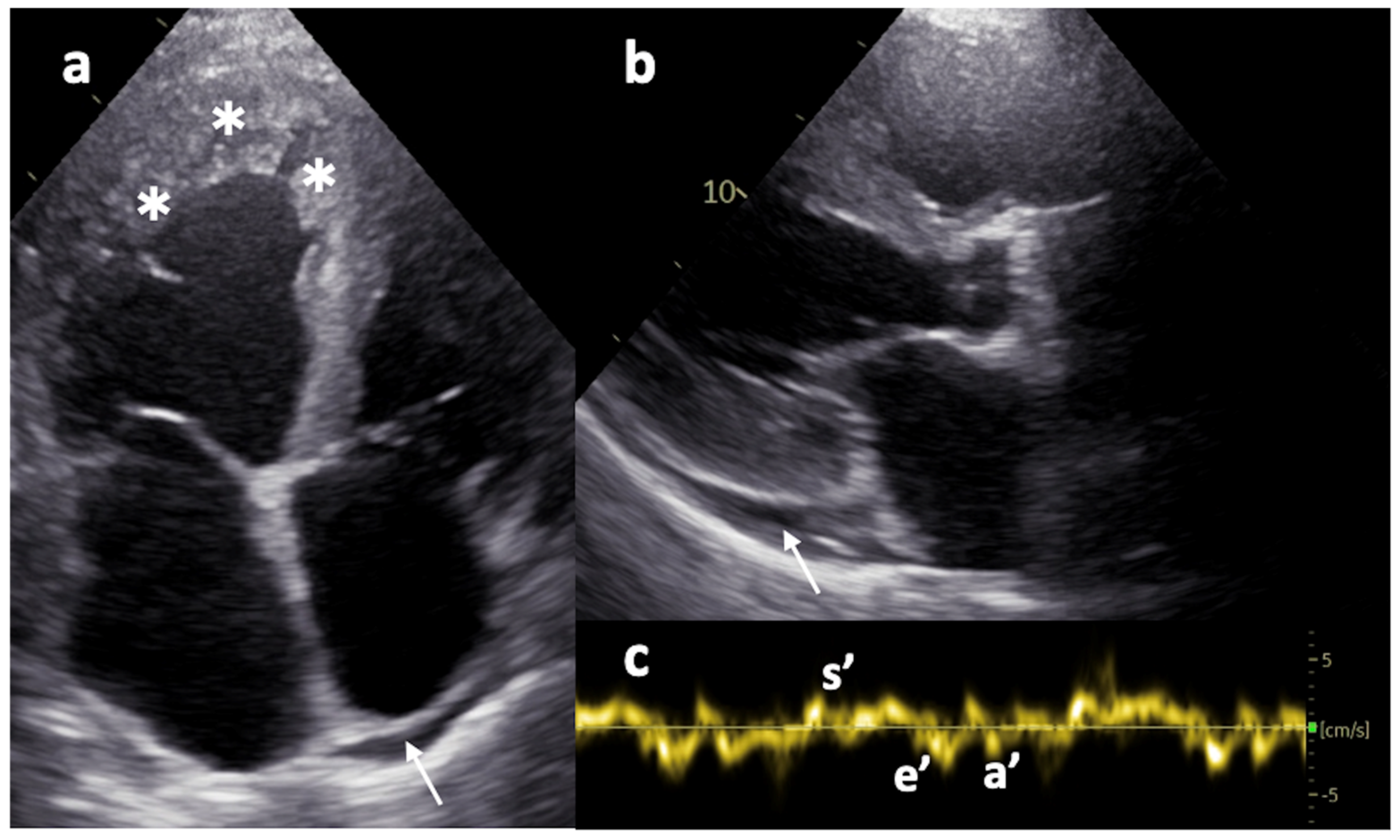 Cardiogenetics 16 00001 g002