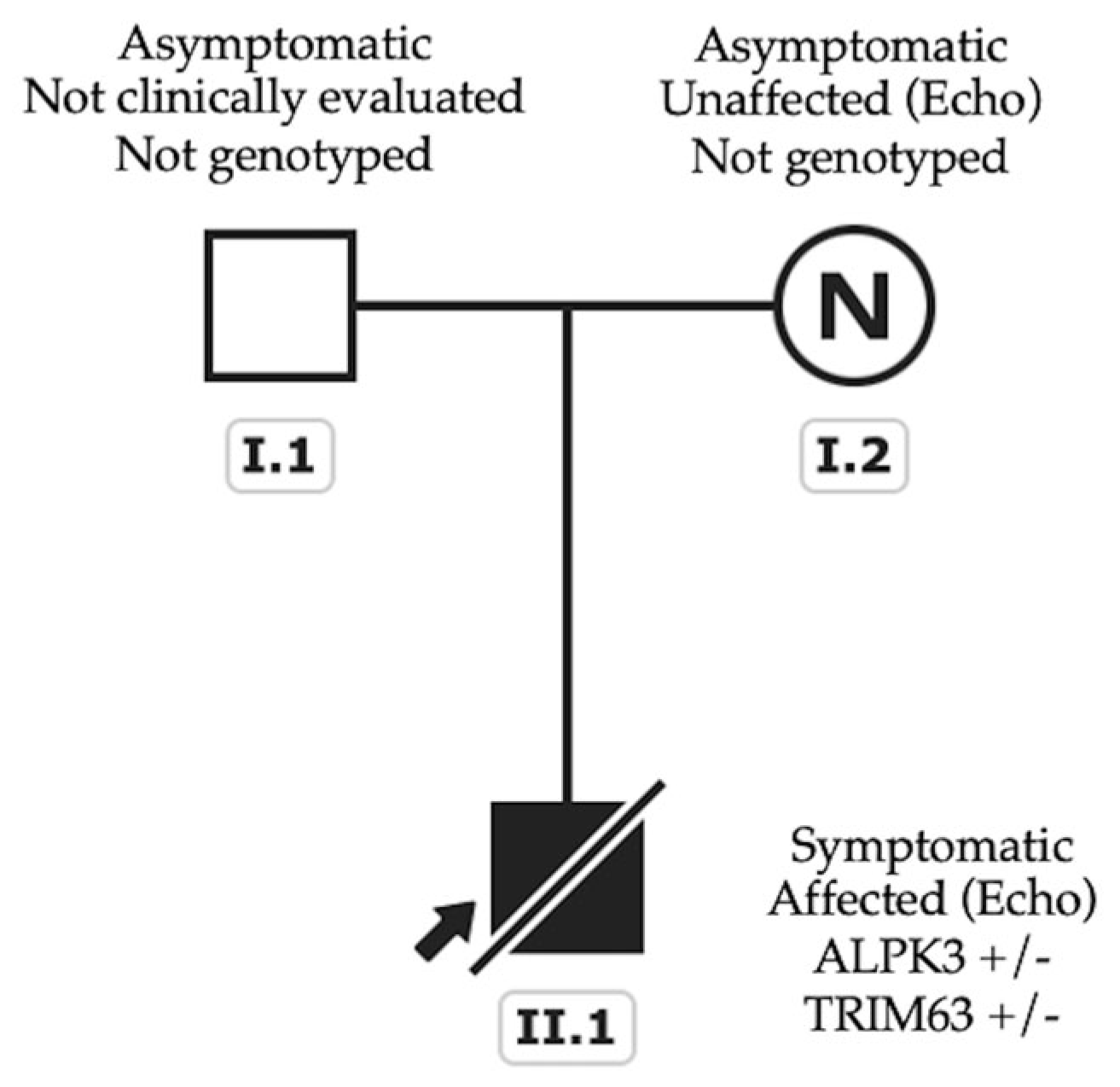 Cardiogenetics 16 00001 g0a1