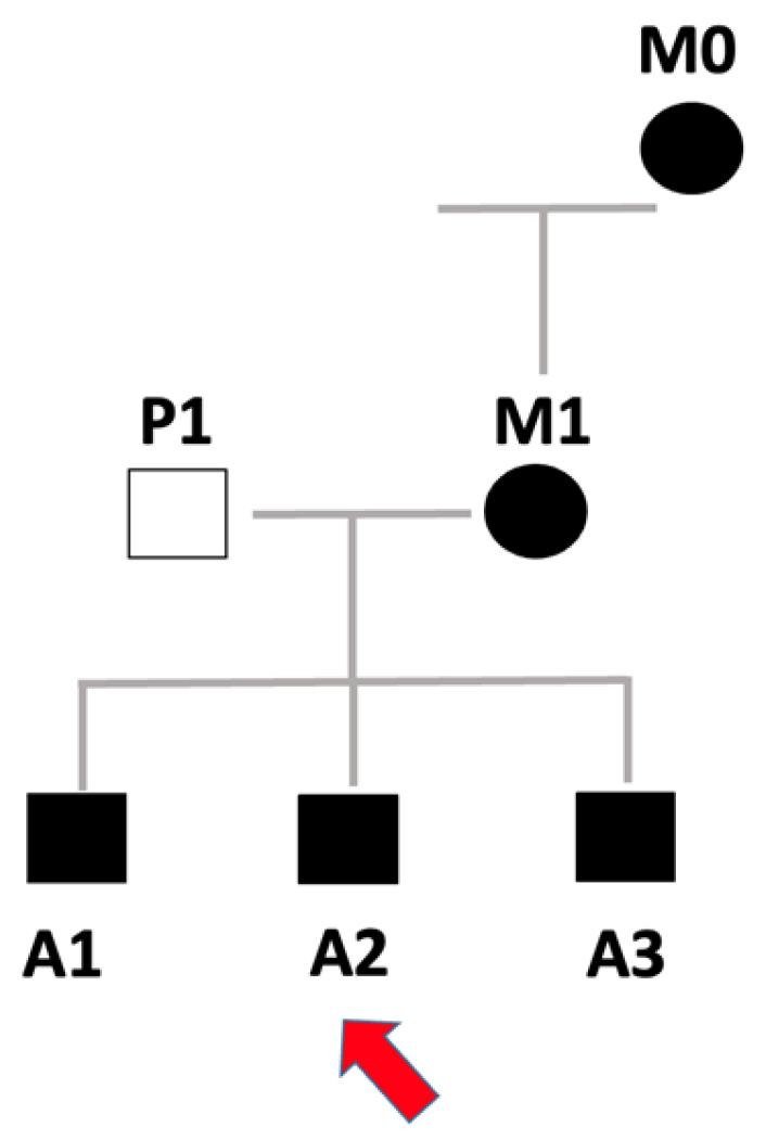 Cardiogenetics 16 00002 g001