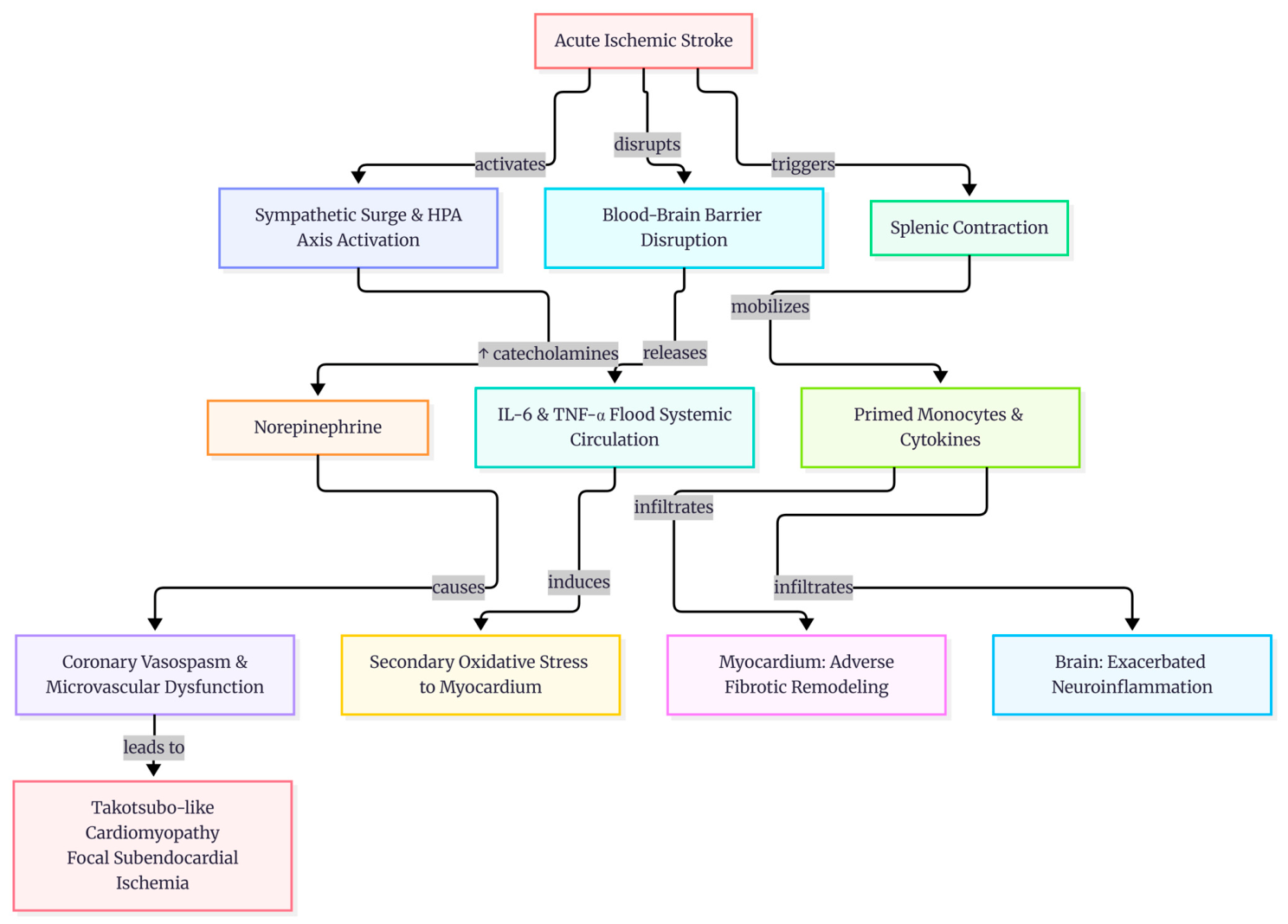 Cardiogenetics 16 00018 g002 Cardiogenetics 16 00018 g002