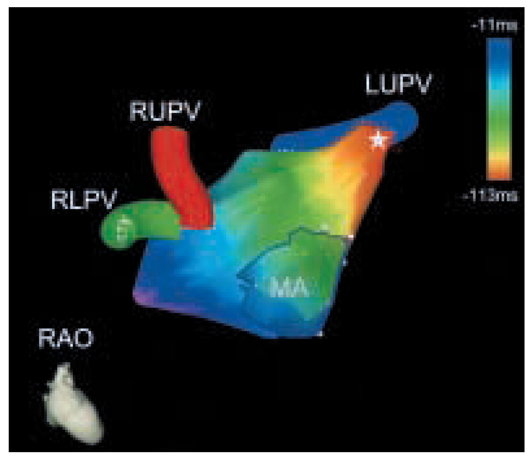 Cardiovascmed 07 00036 g002