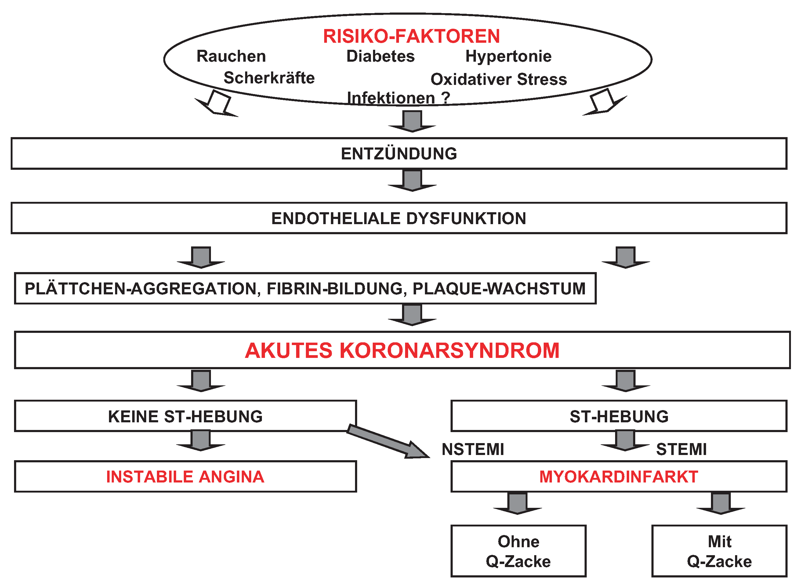 Cardiovascmed 07 00159 g002