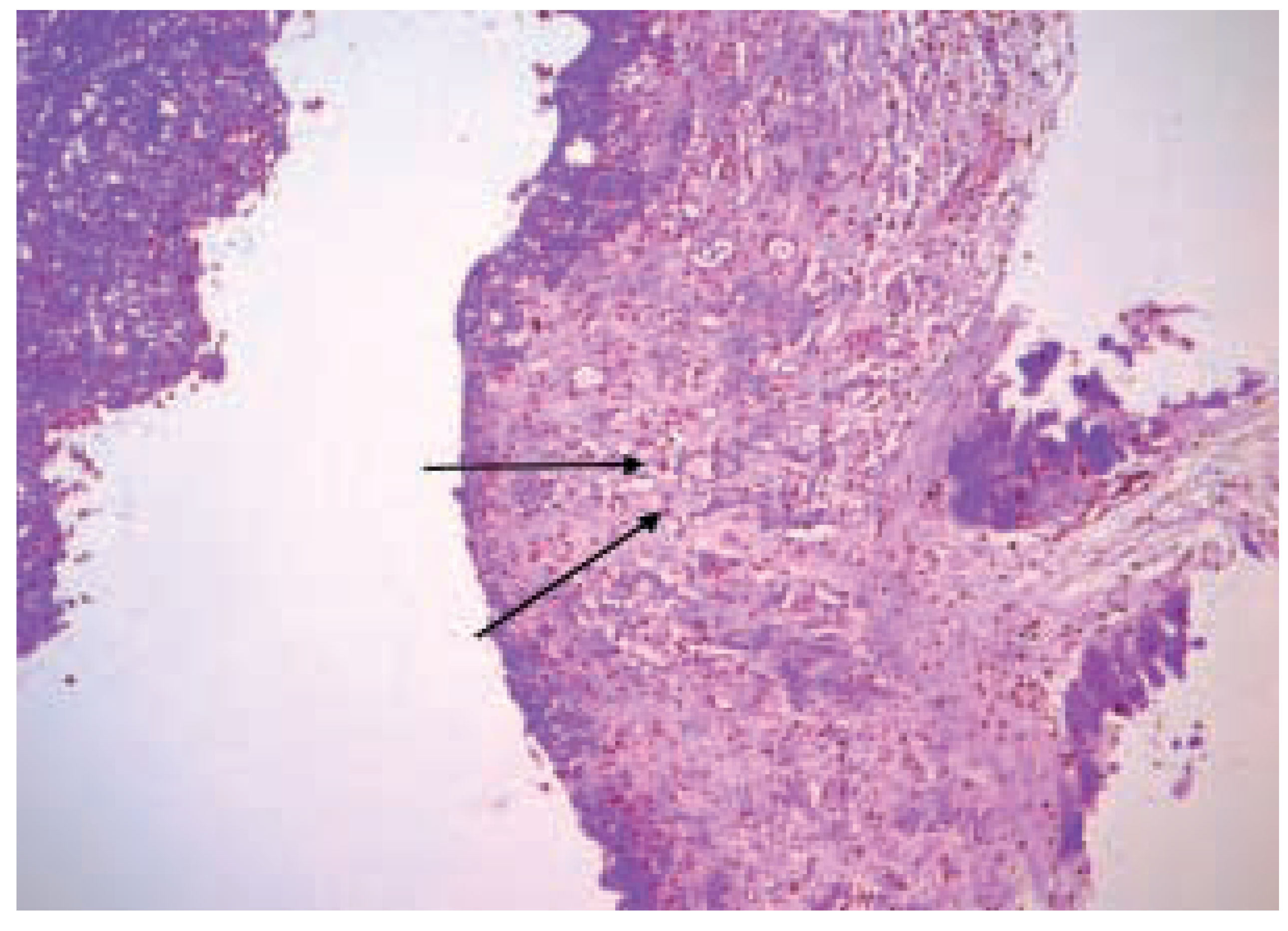 Cardiovascmed 07 00185 g003