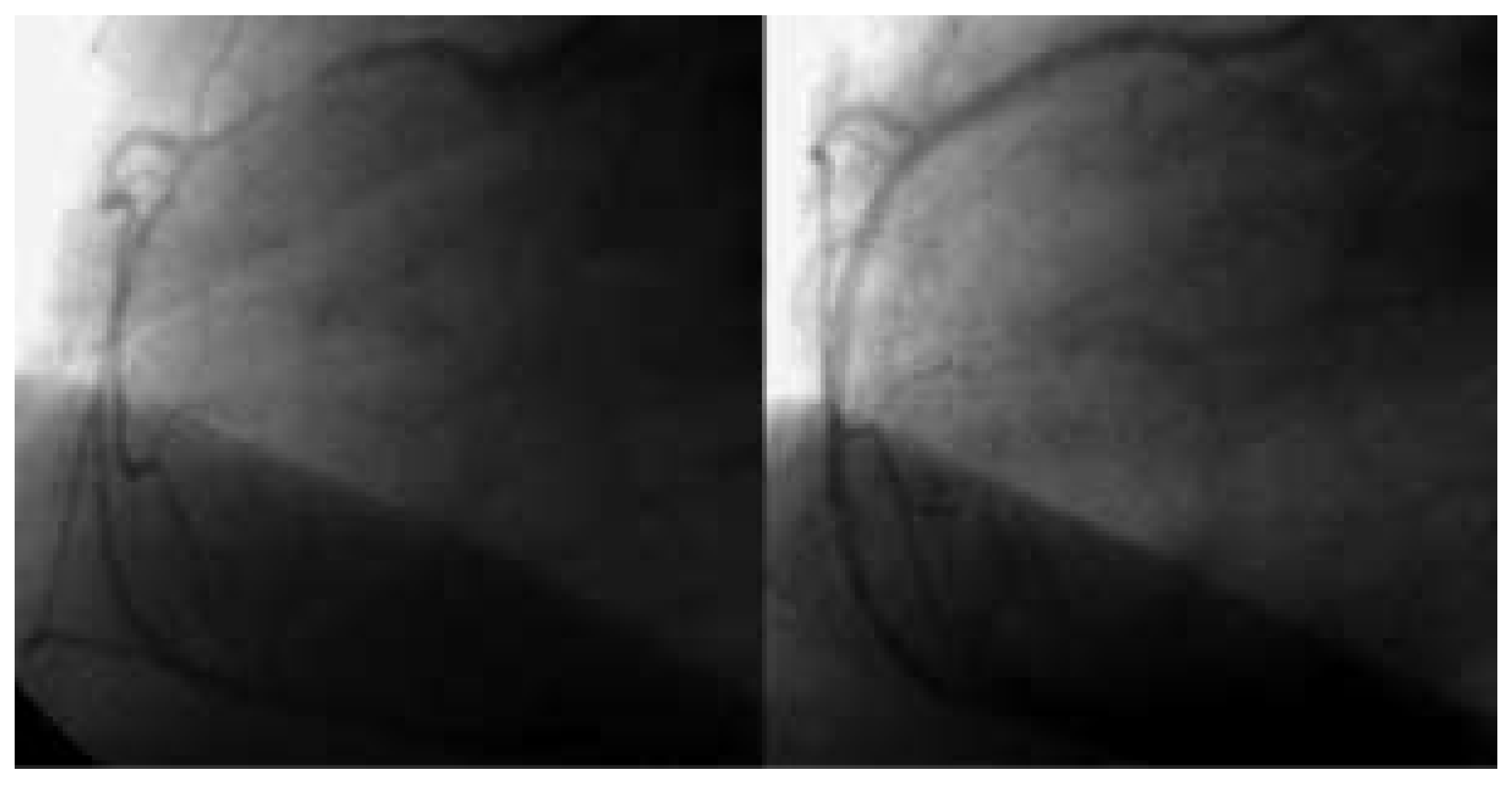 Cardiovascmed 07 00221 g003