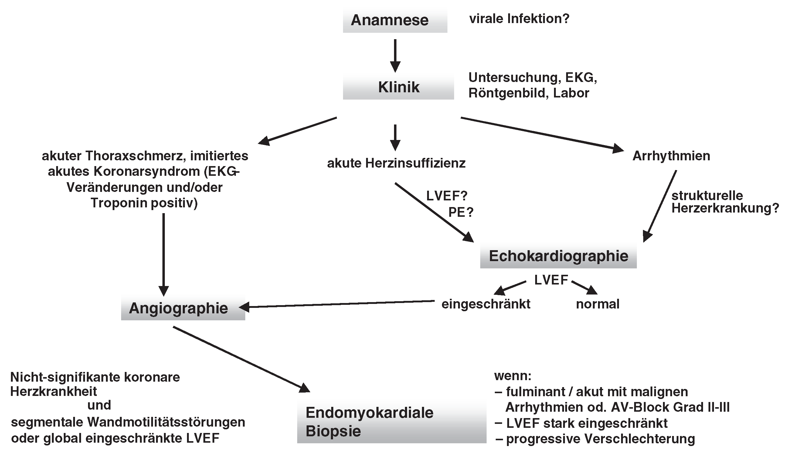 Cardiovascmed 07 00248 g003 Cardiovascmed 07 00248 g003