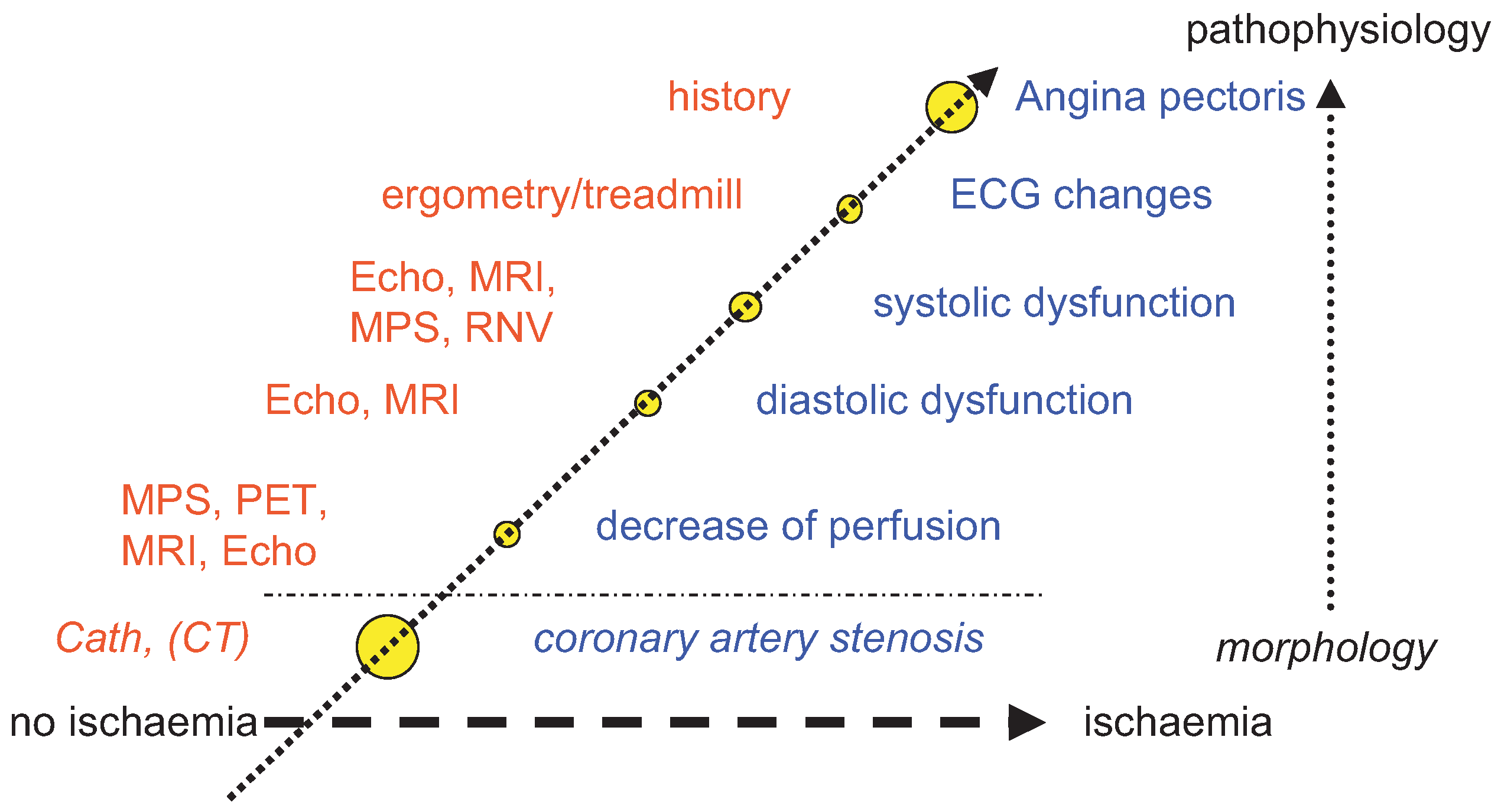 Cardiovascmed 07 00362 g001