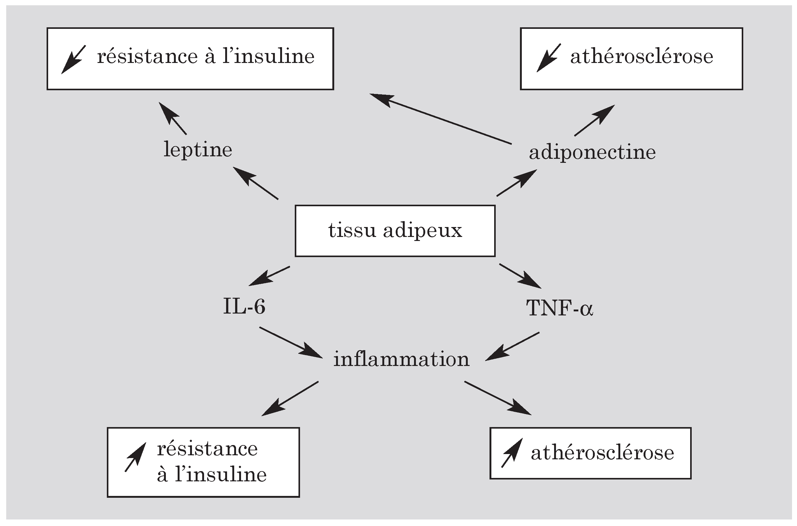 Cardiovascmed 07 00367 i004