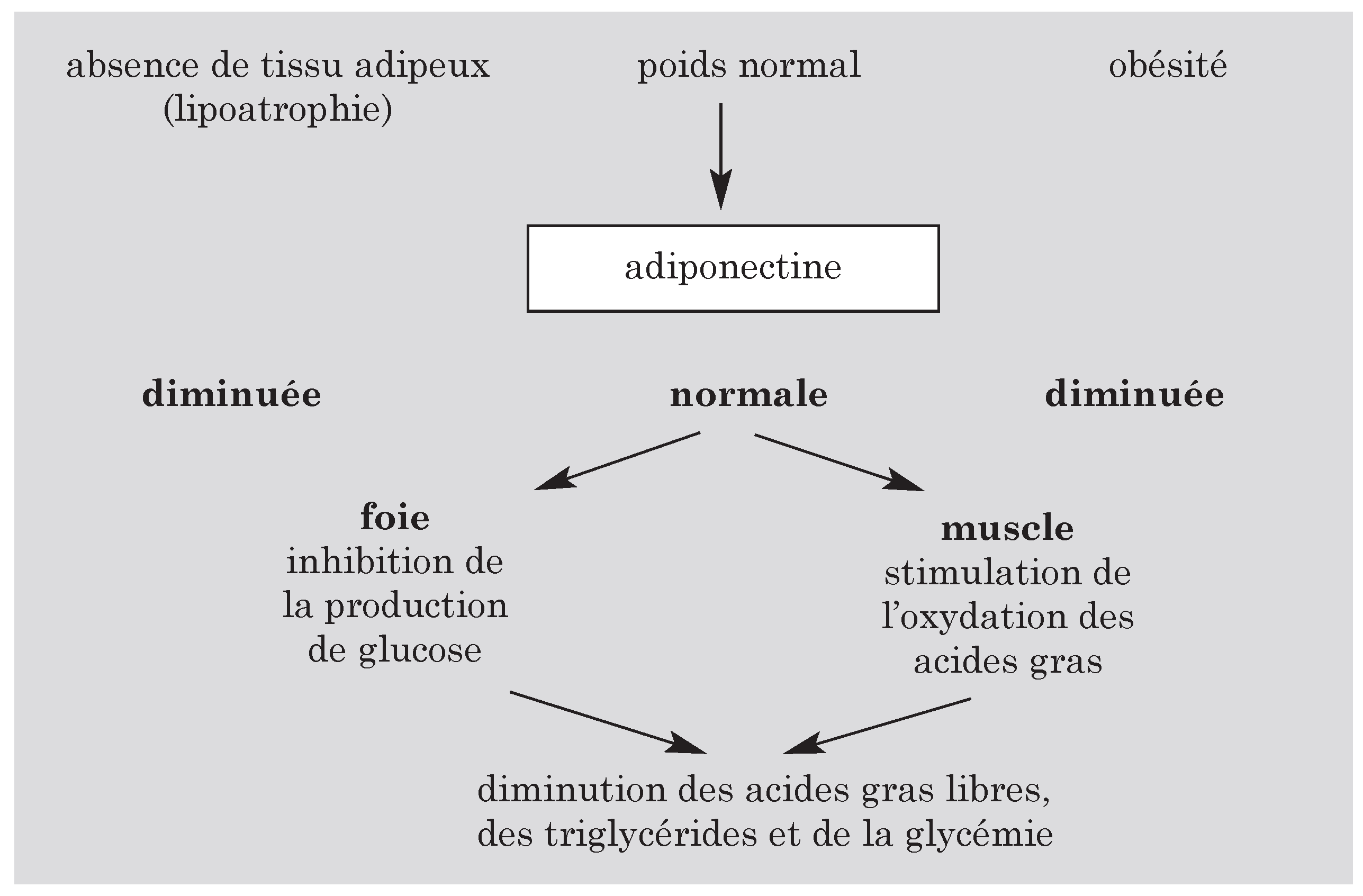 Cardiovascmed 07 00367 i005