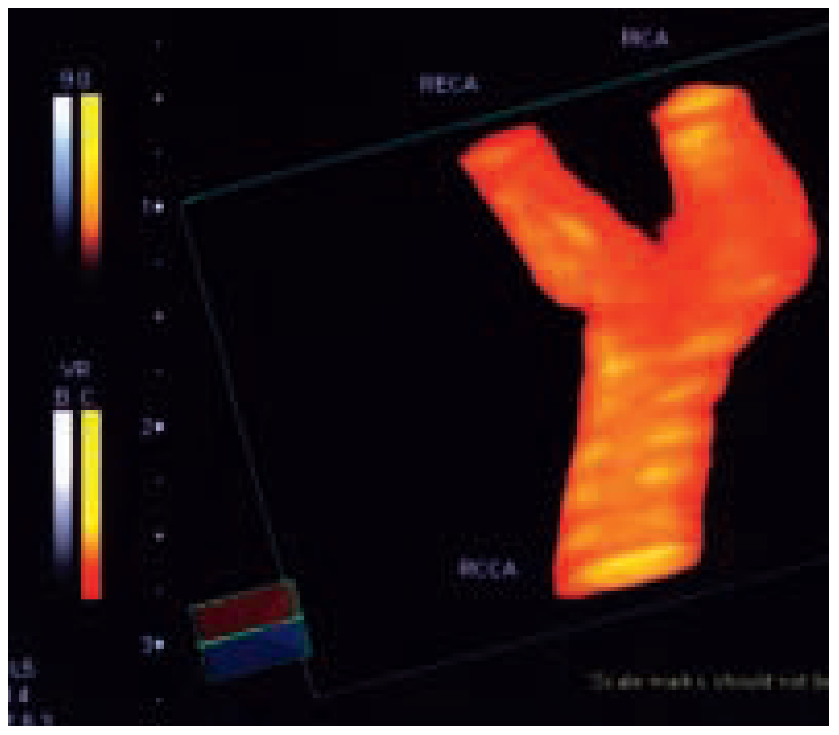 Cardiovascmed 07 00423 g002
