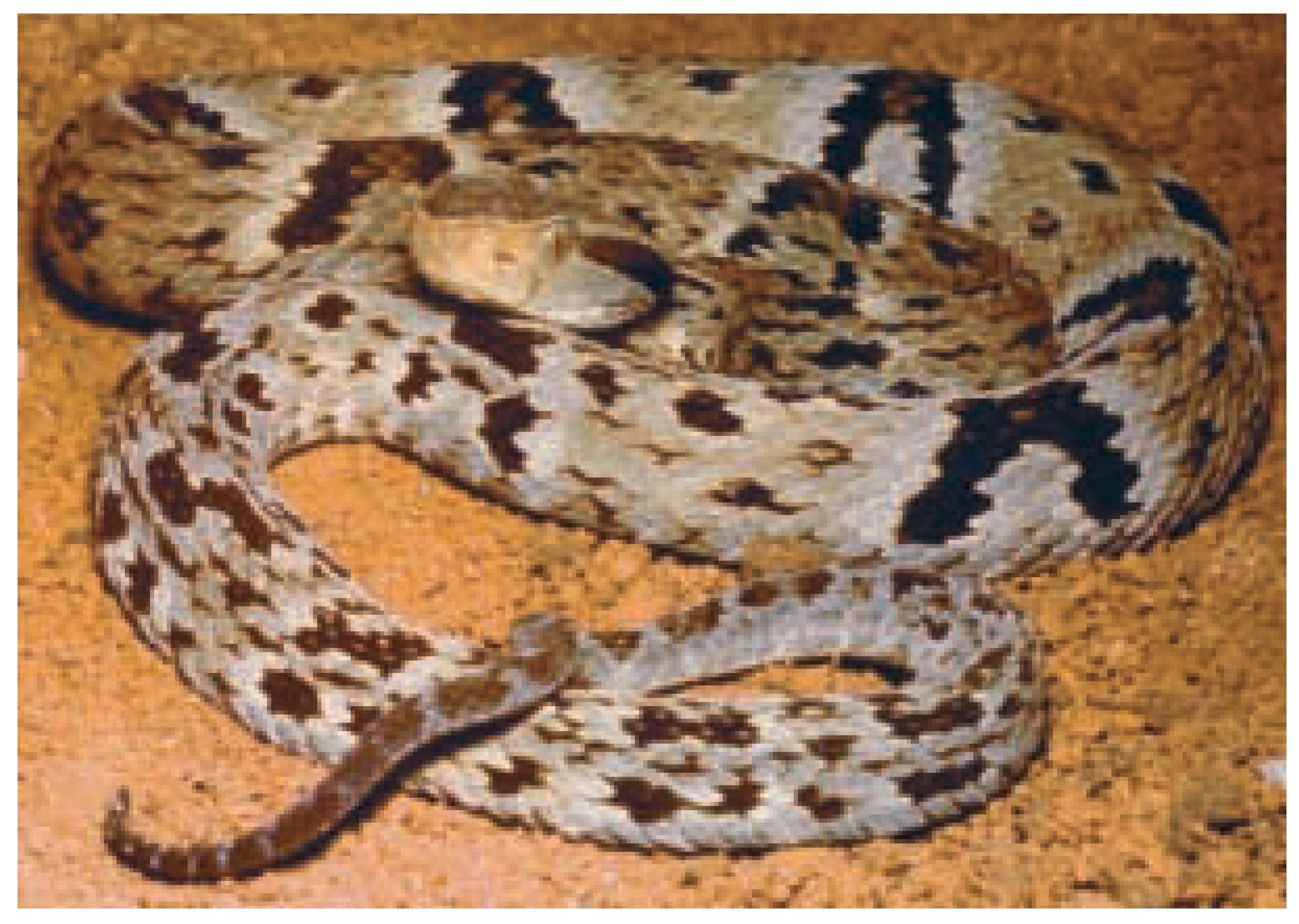 Cardiovascmed 08 00006 g001