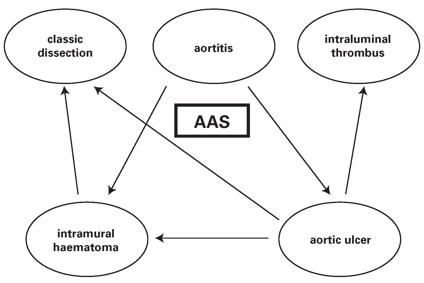 Cardiovascmed 08 00079 g002