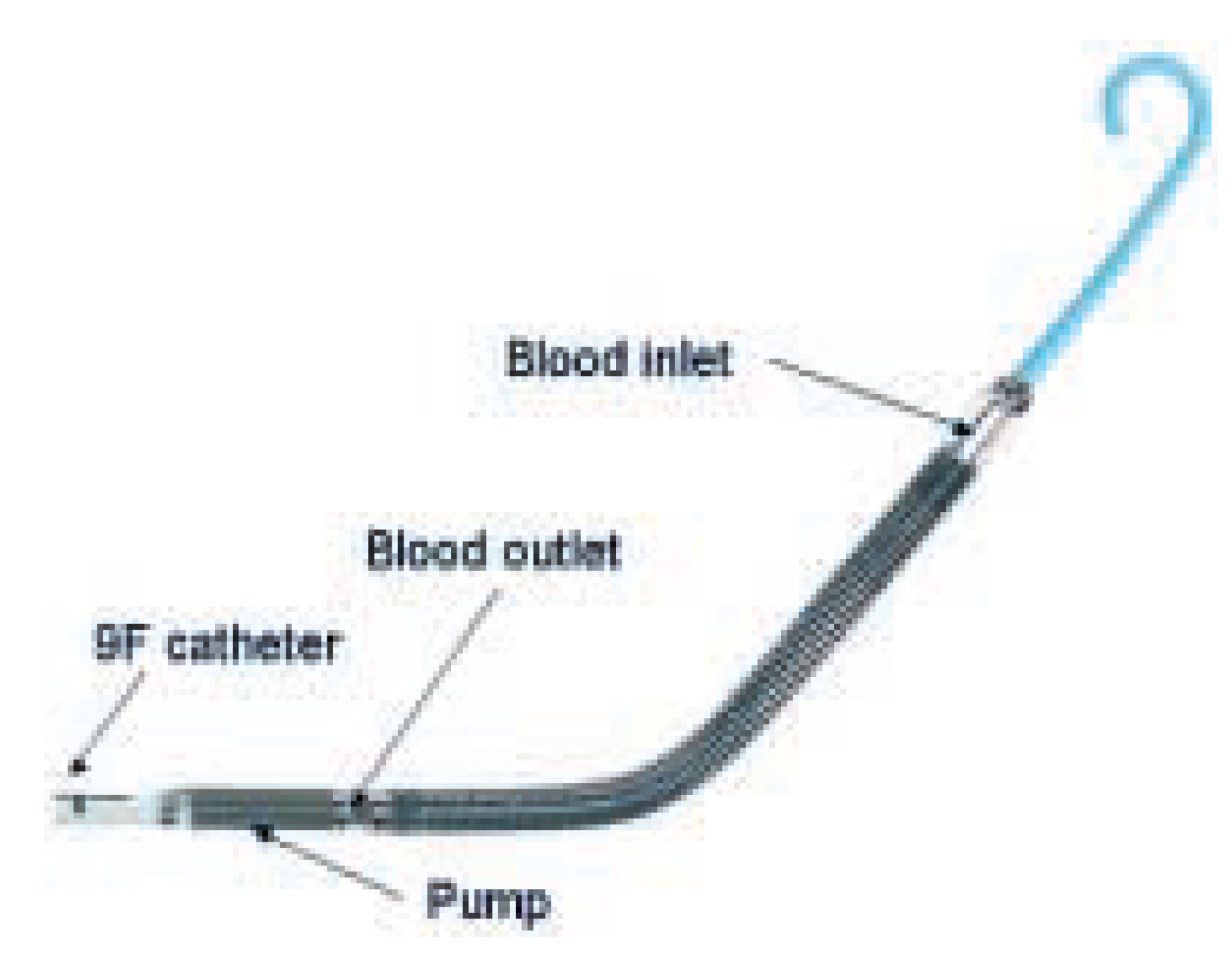 Cardiovascmed 08 00187 g001