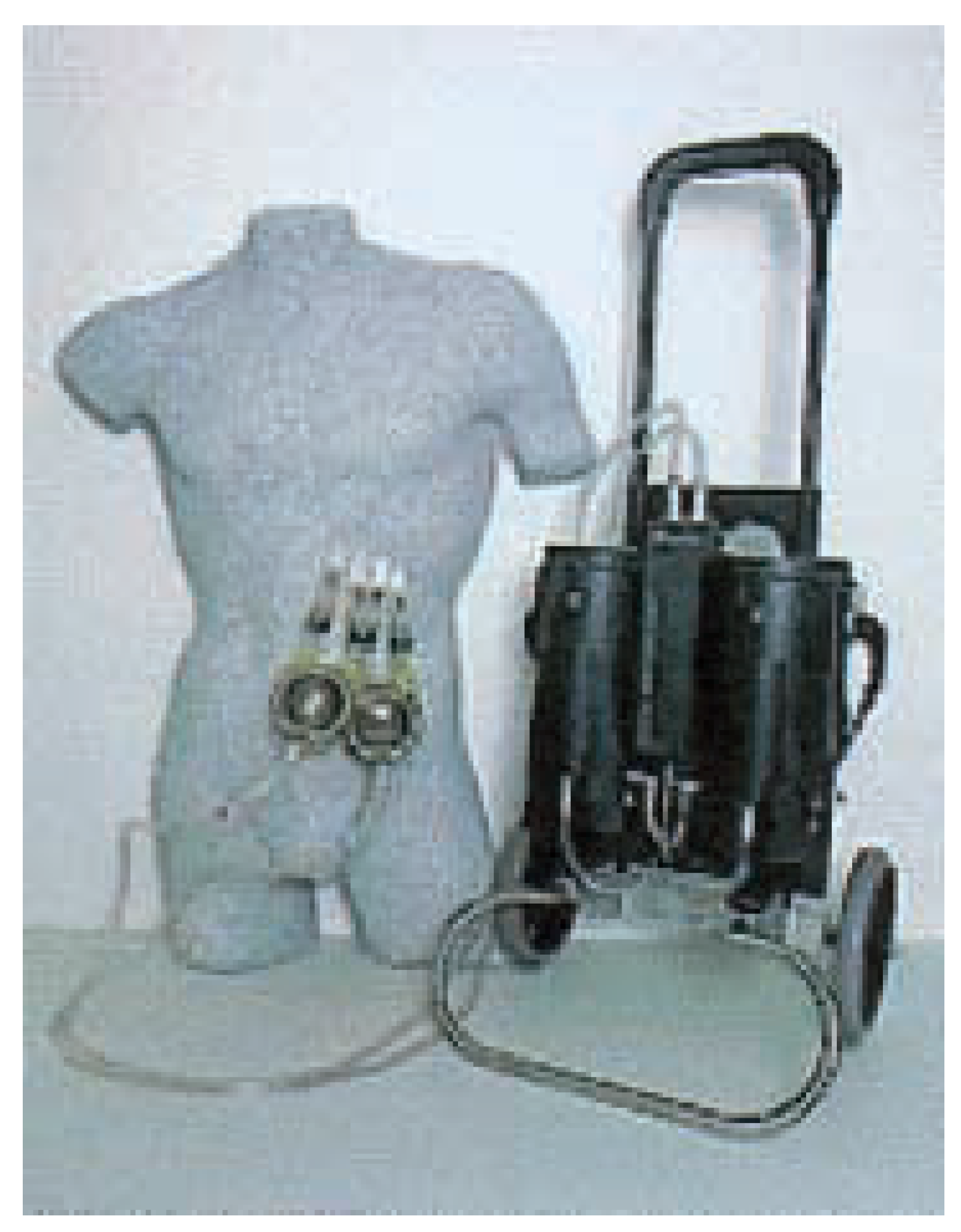 Cardiovascmed 08 00228 g002 Cardiovascmed 08 00228 g002