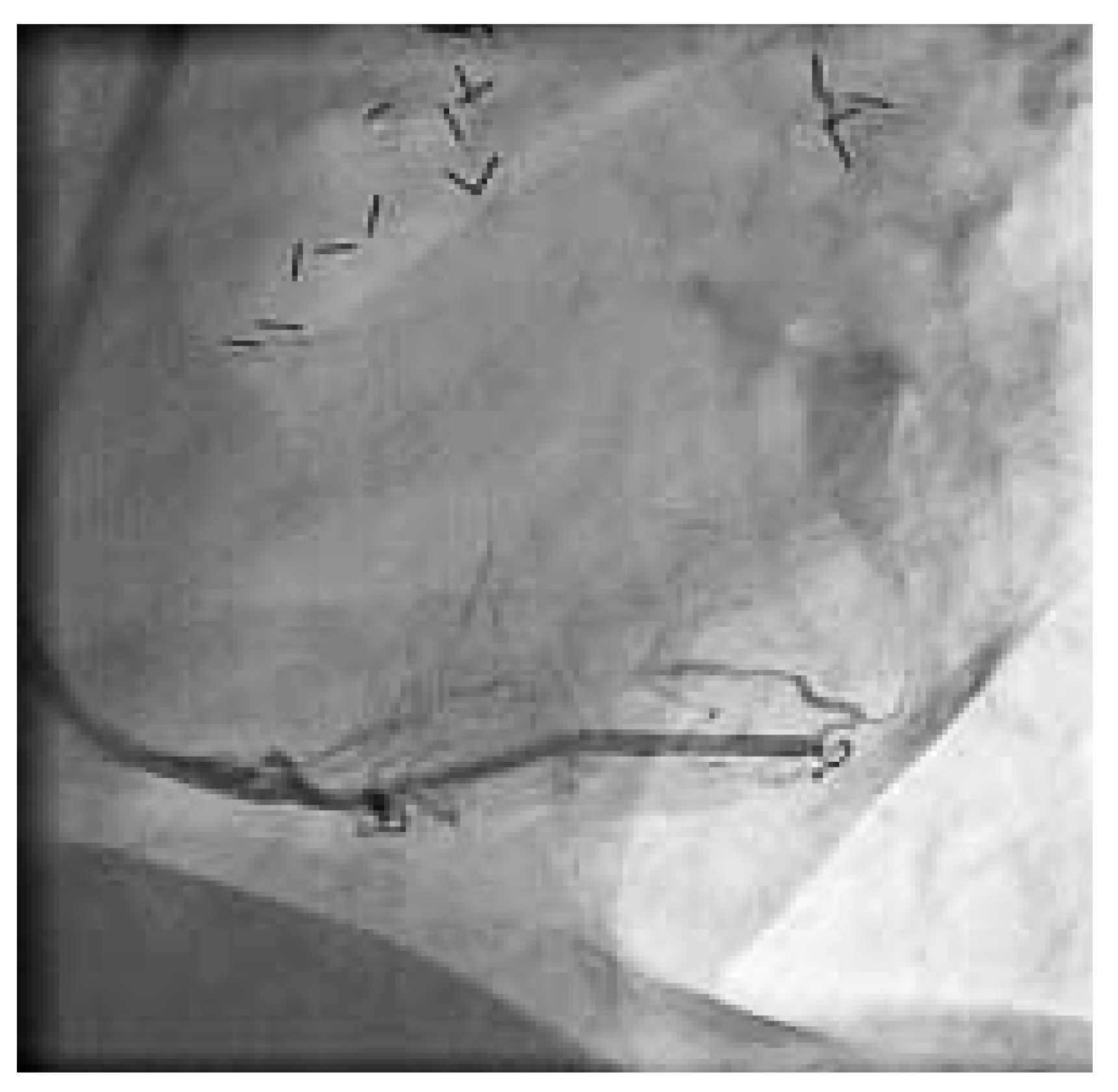 Cardiovascmed 08 00290 g008