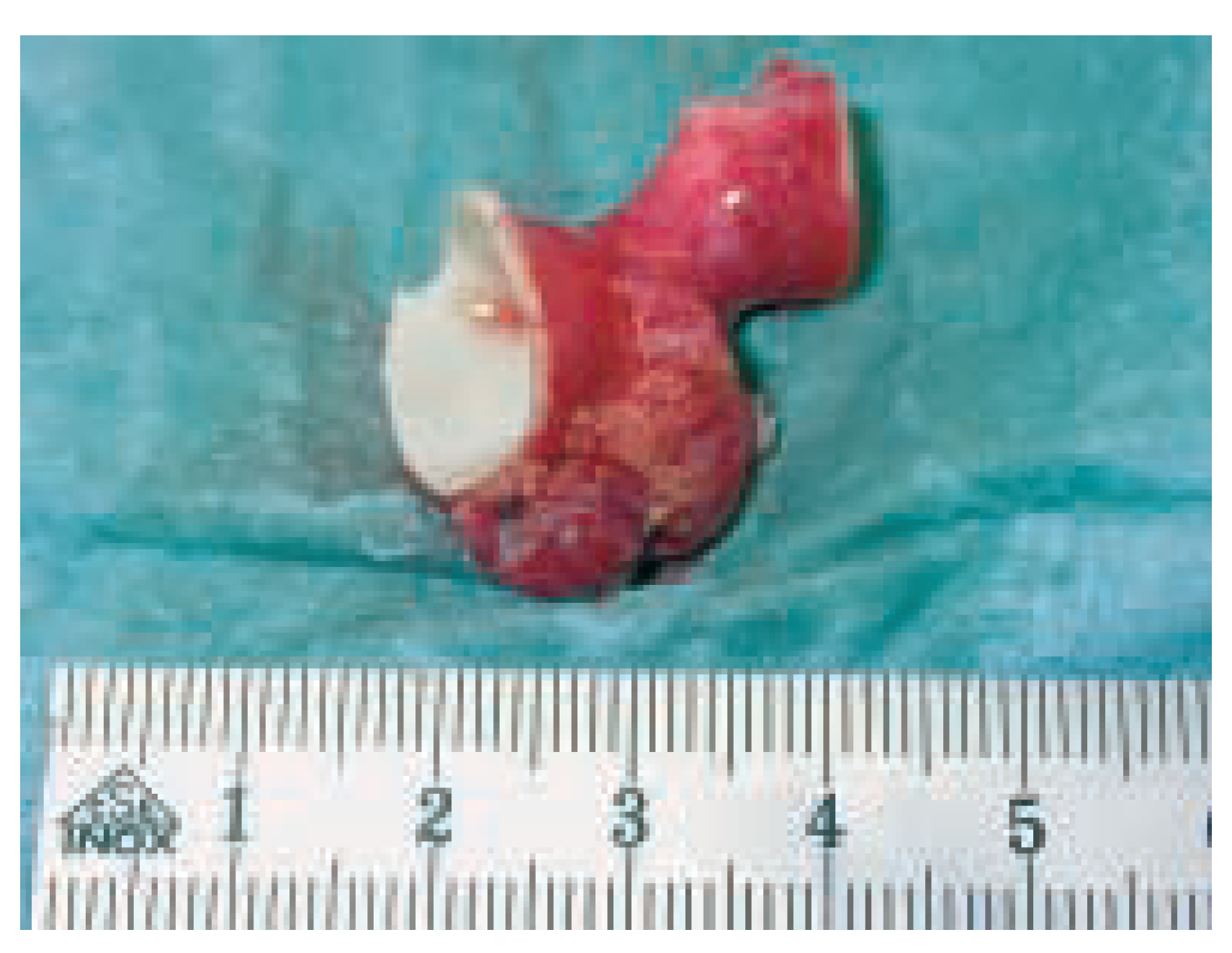 Cardiovascmed 08 00297 g003