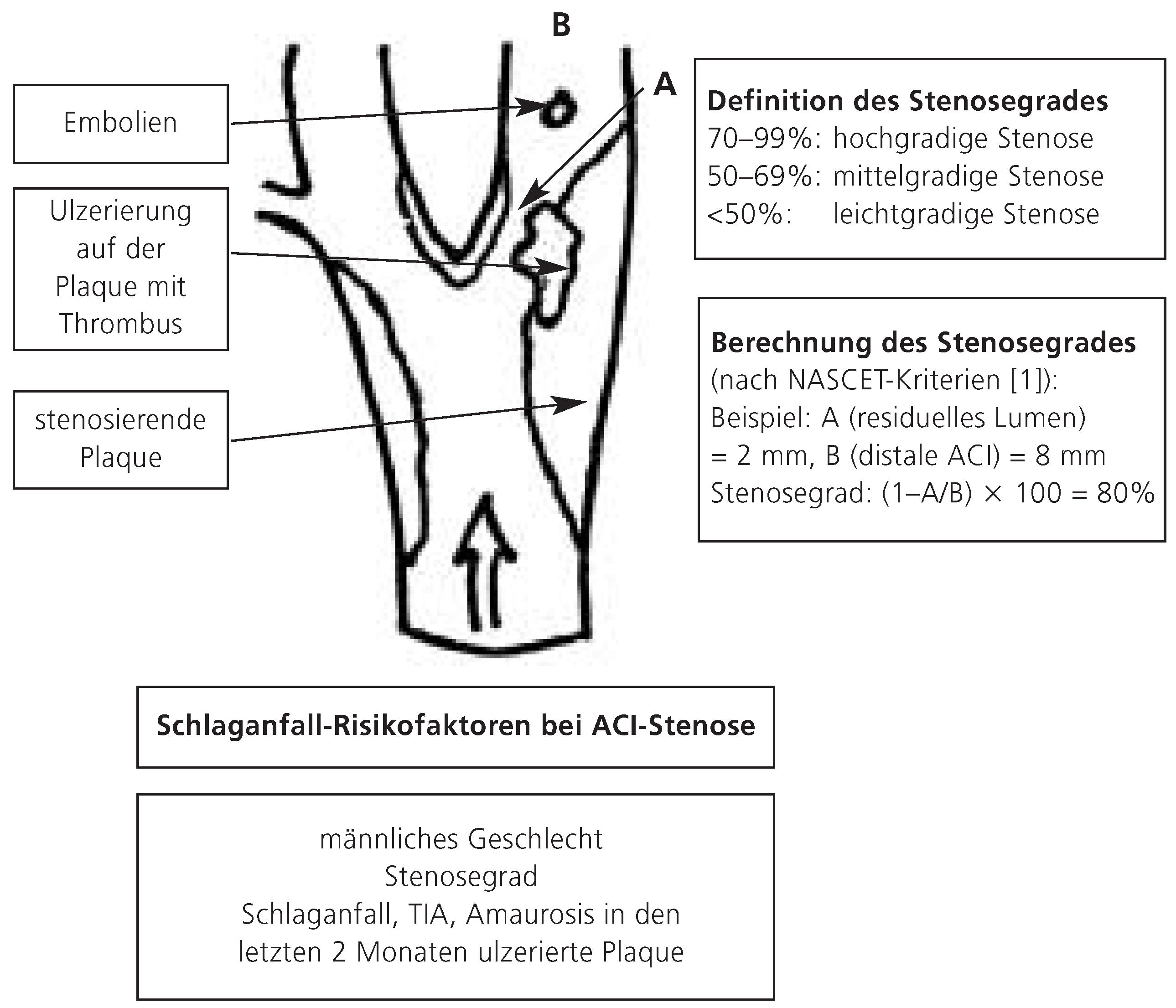 Cardiovascmed 08 00315 g001
