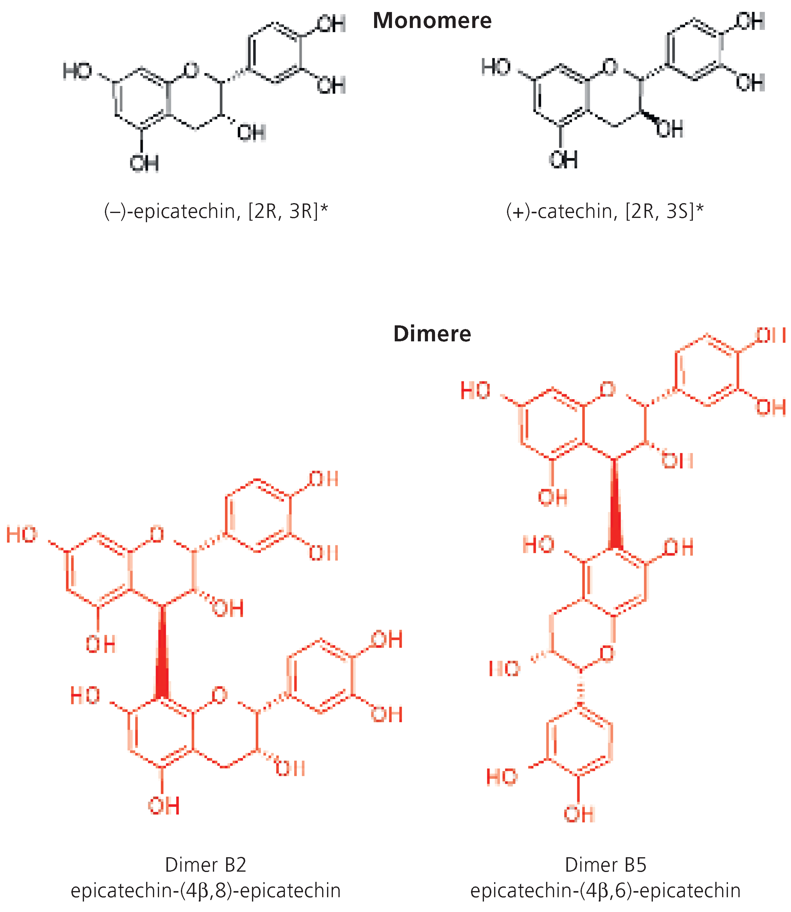 Cardiovascmed 08 00385 g005 Cardiovascmed 08 00385 g005