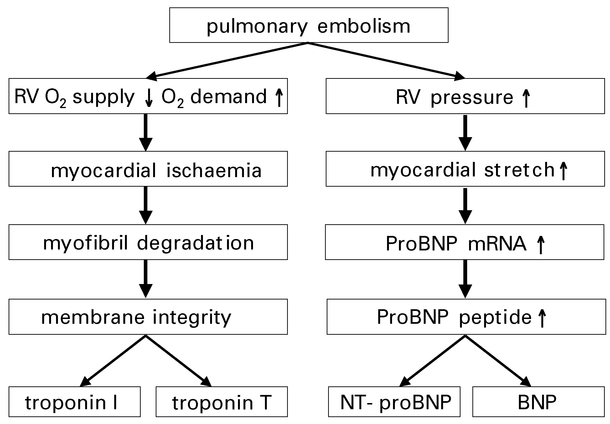 Cardiovascmed 09 00146 g003