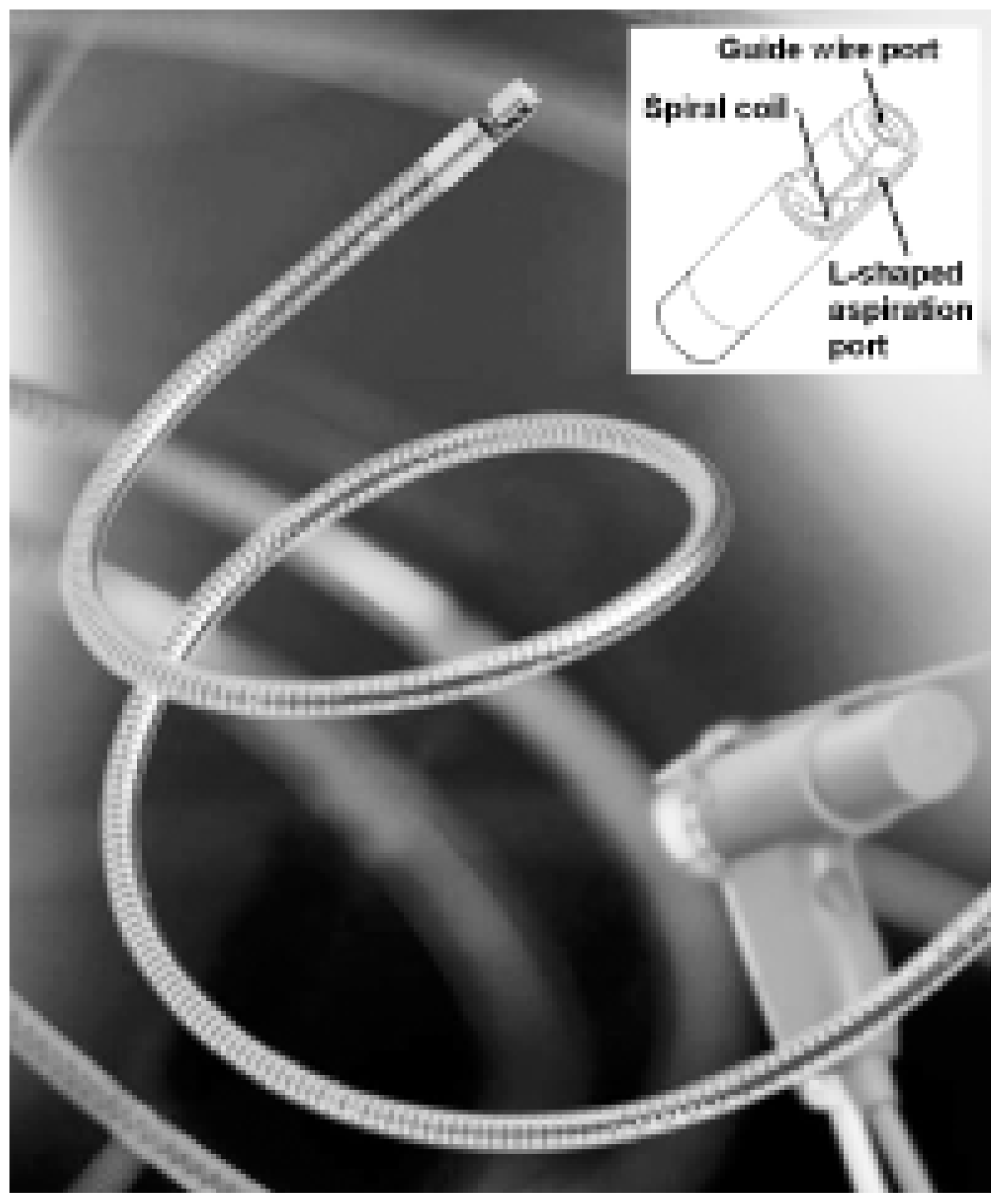 Cardiovascmed 09 00162 g004