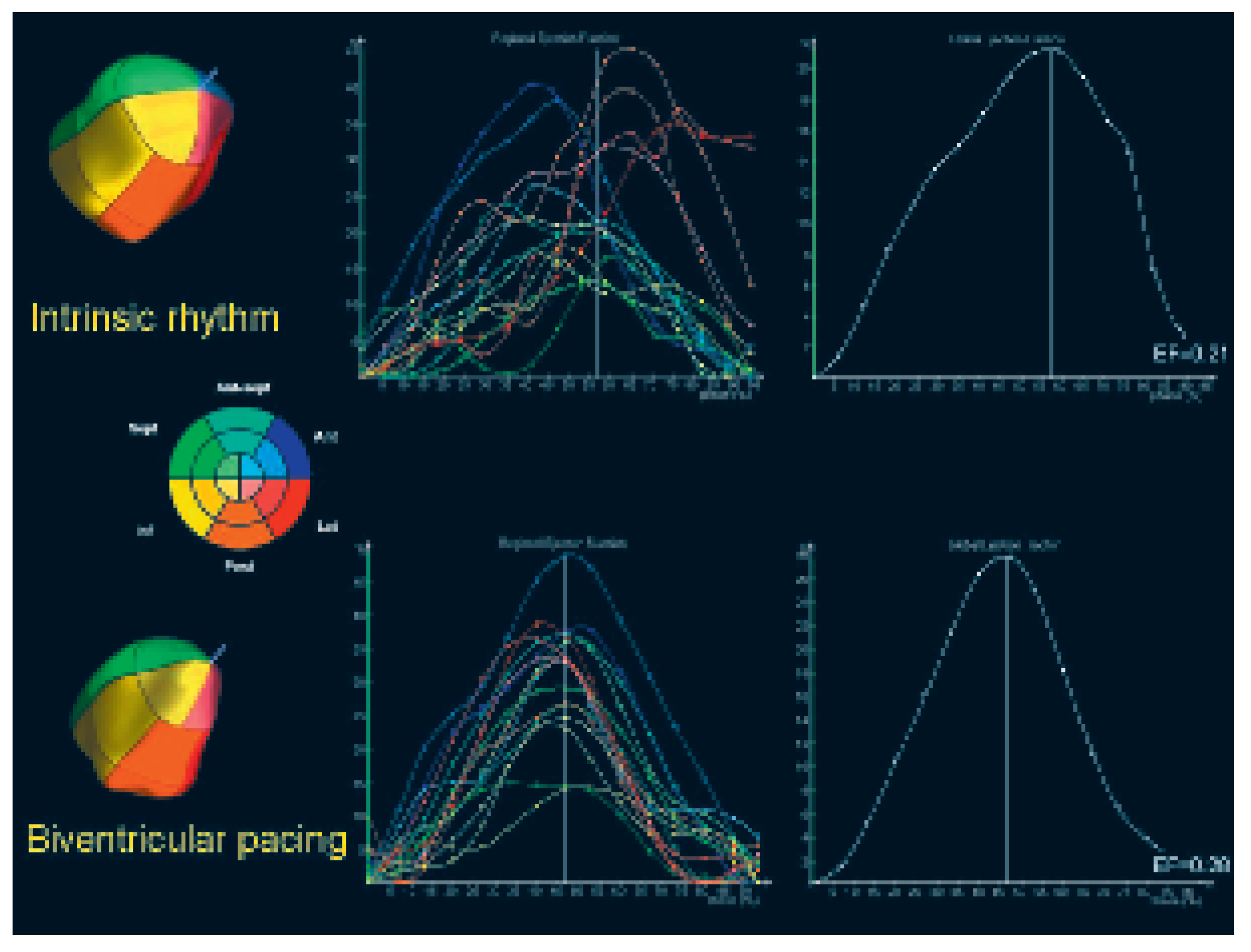 Cardiovascmed 09 00188 g005