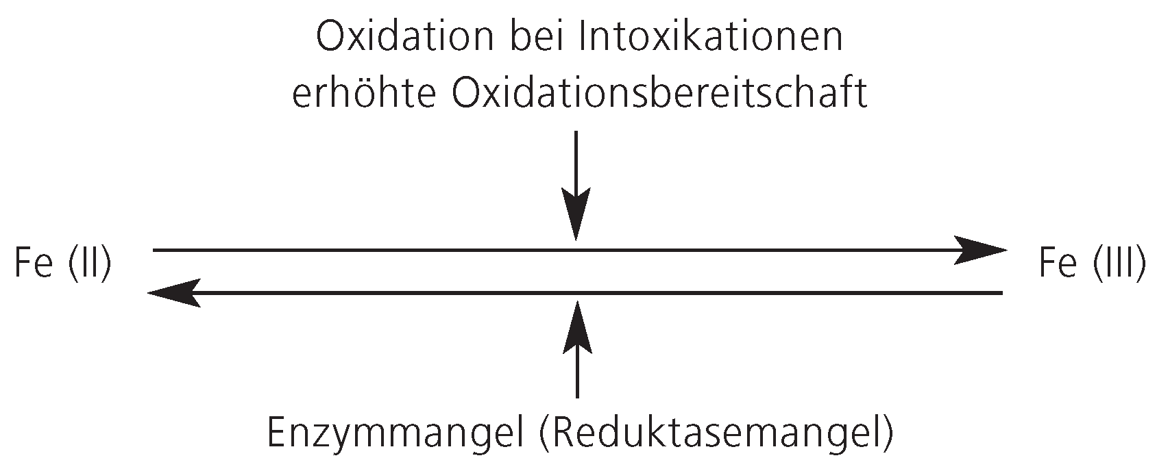 Cardiovascmed 09 00230 g002