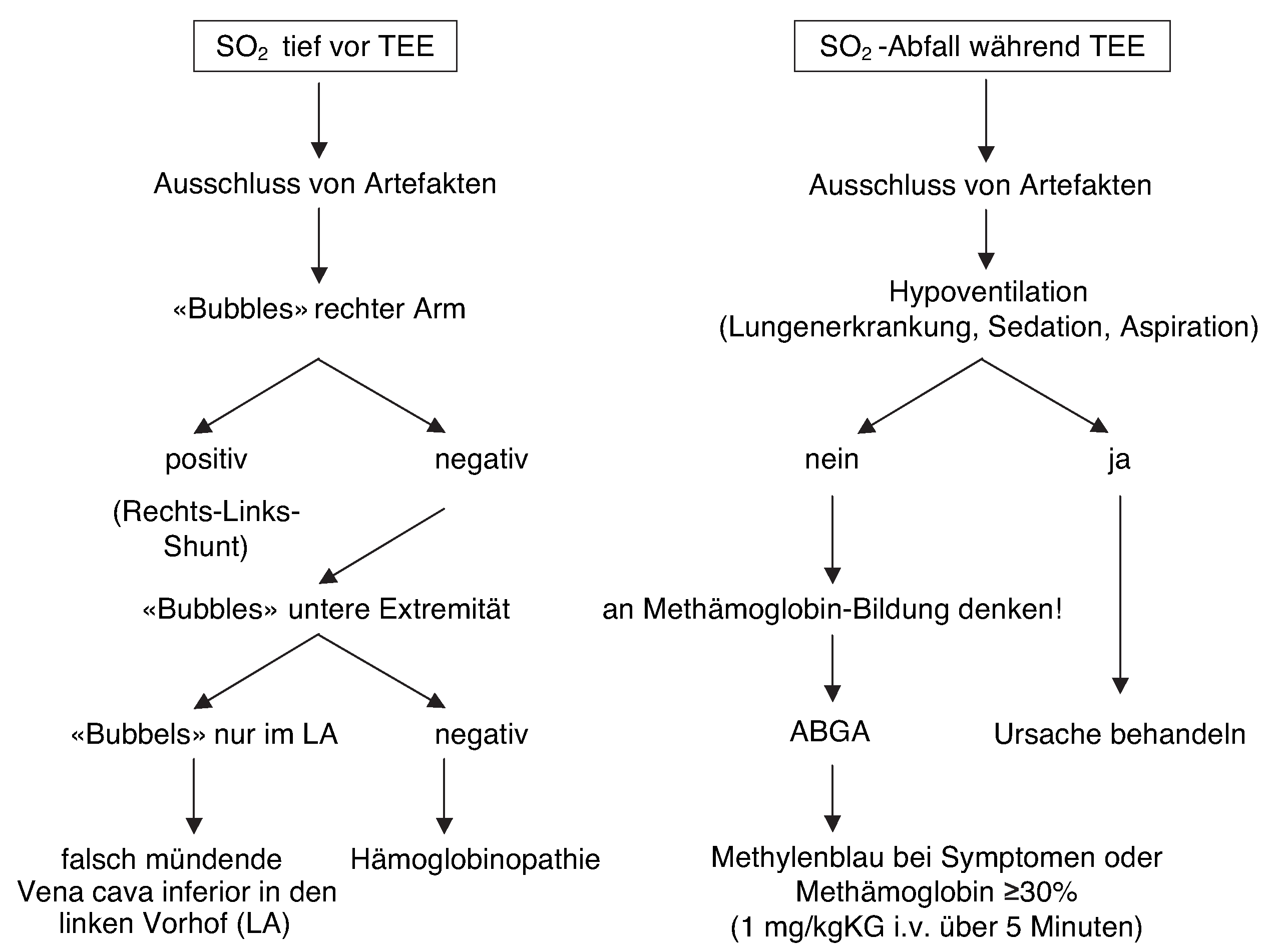 Cardiovascmed 09 00230 g003