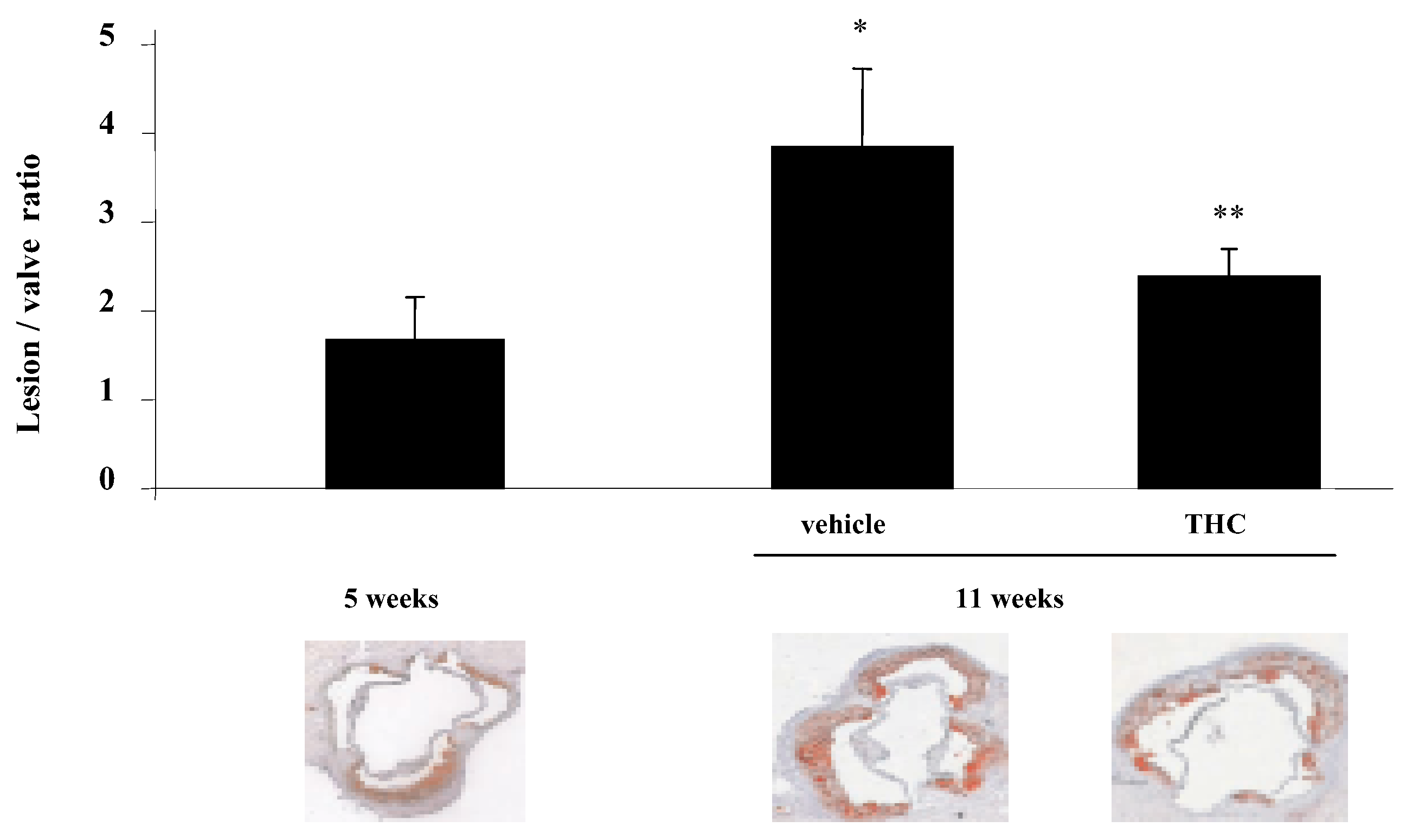 Cardiovascmed 09 00268 g001