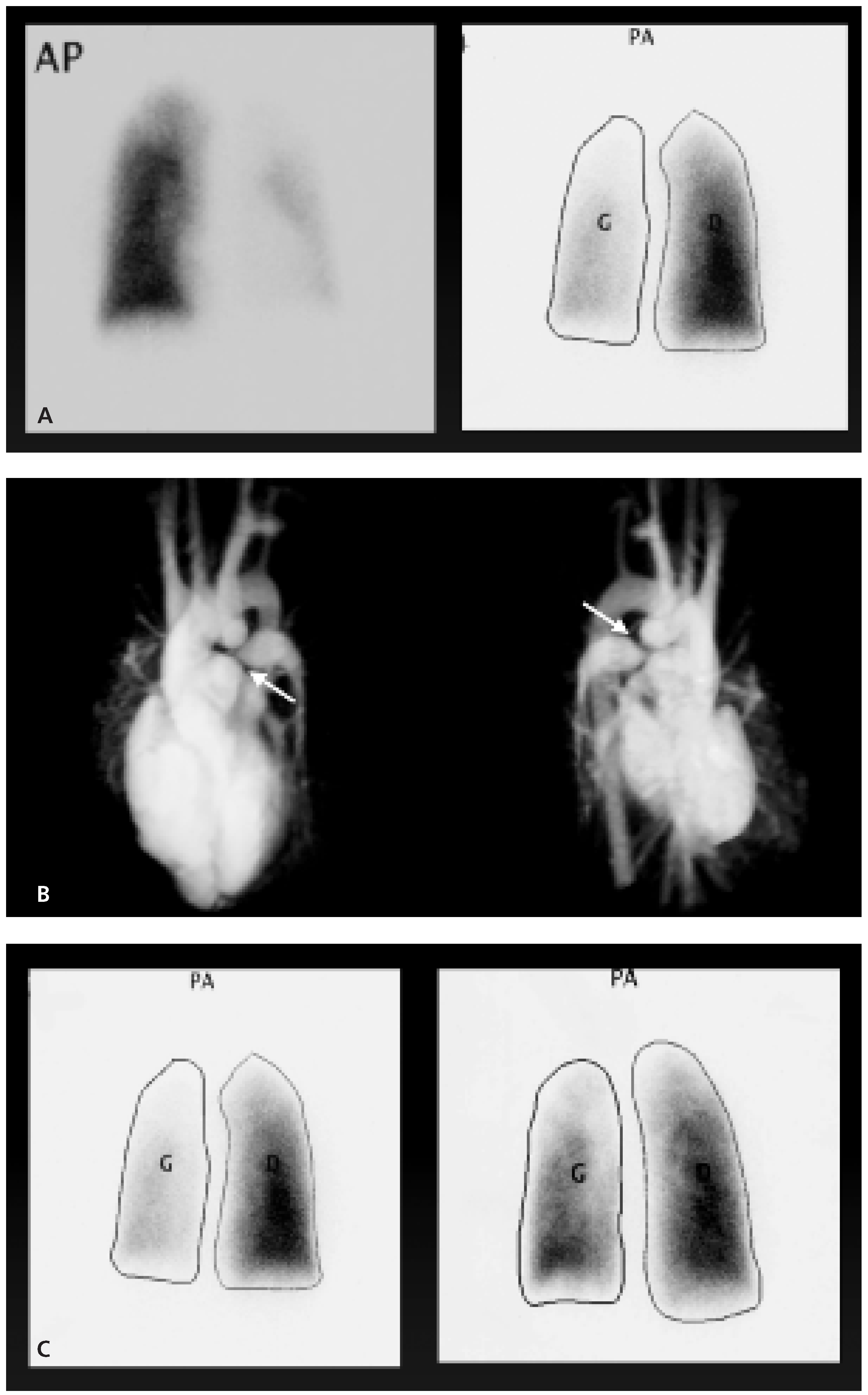 Cardiovascmed 09 00376 g002
