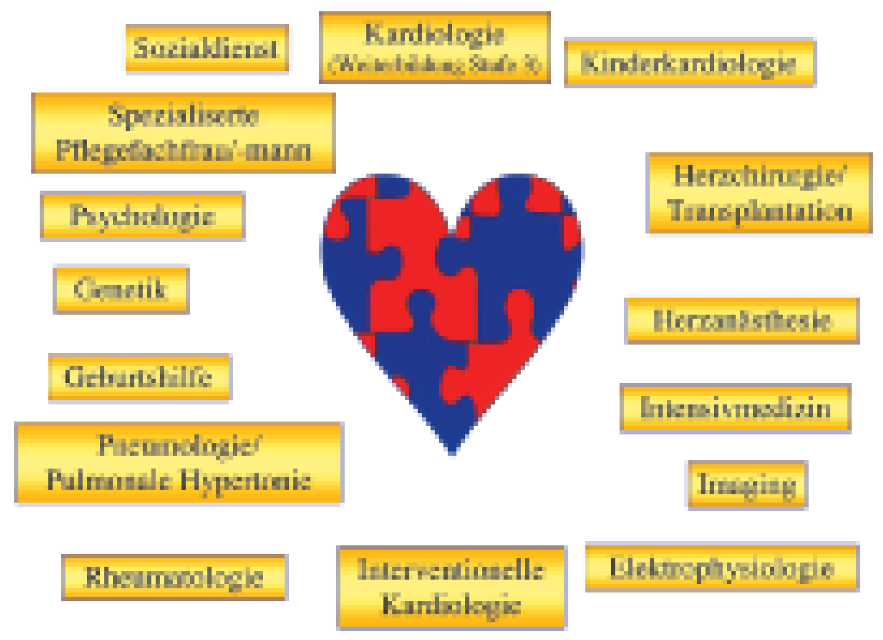 Cardiovascmed 09 00383 g003