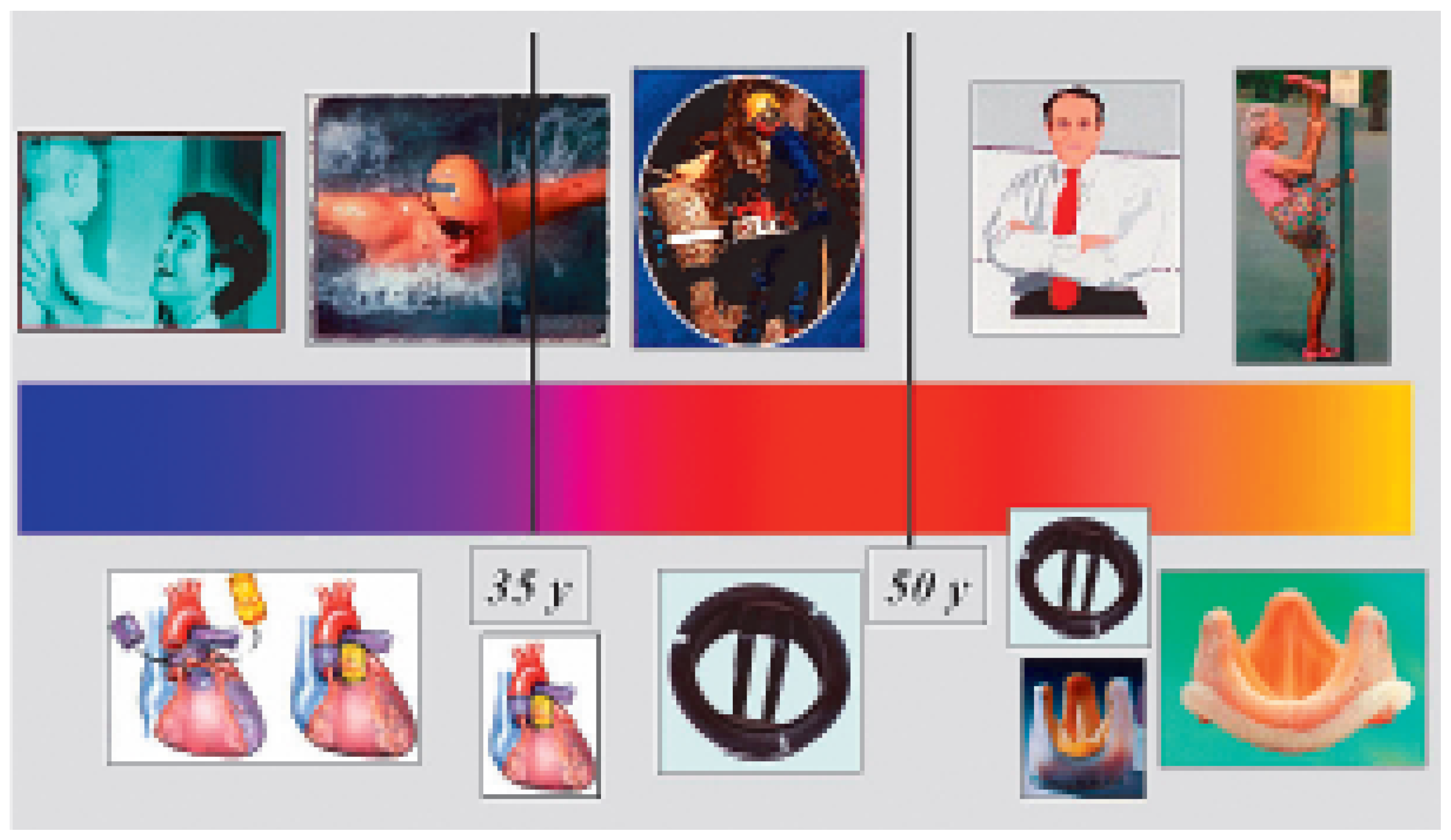 Cardiovascmed 09 00393 g012