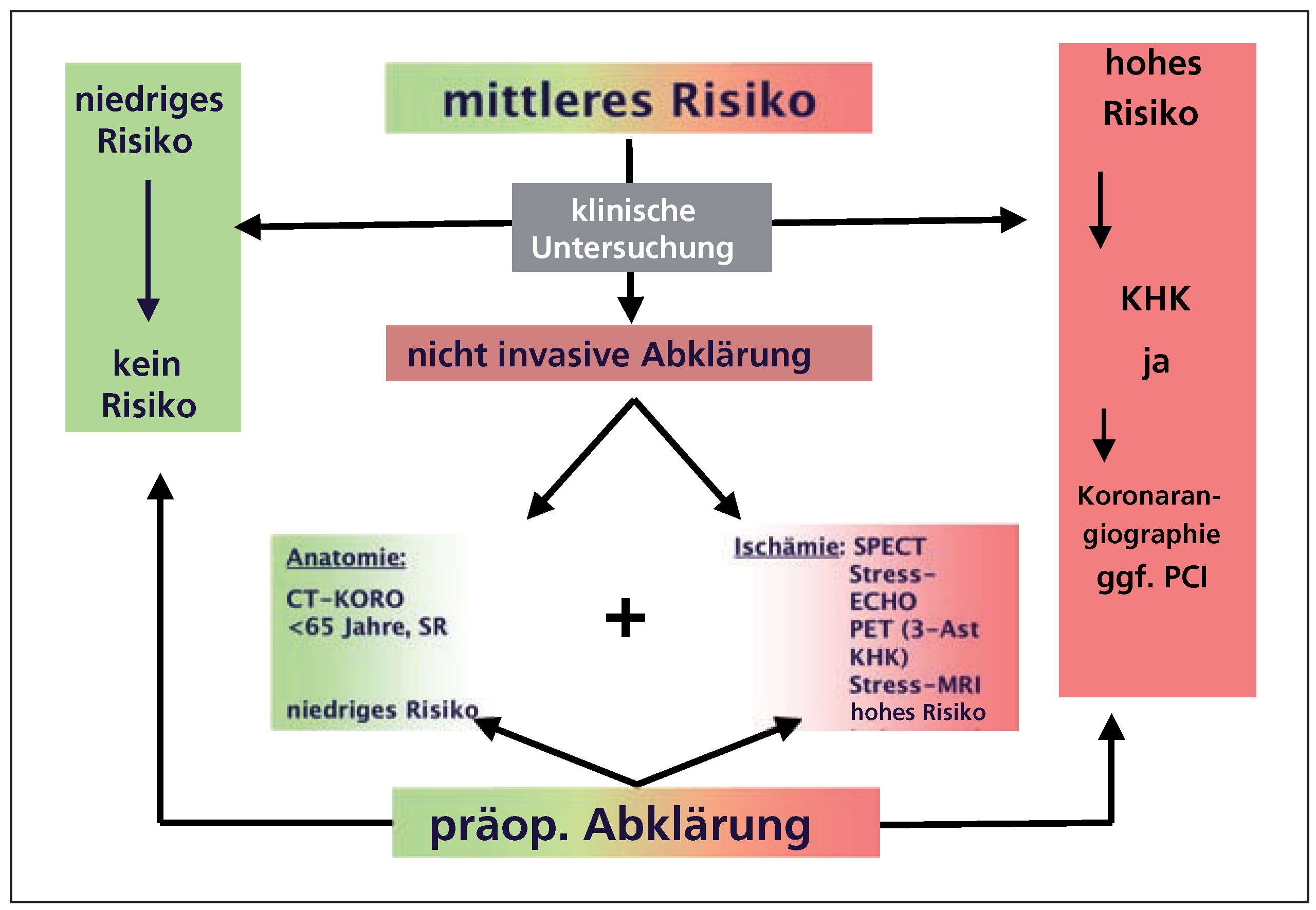 Cardiovascmed 10 00121 g005