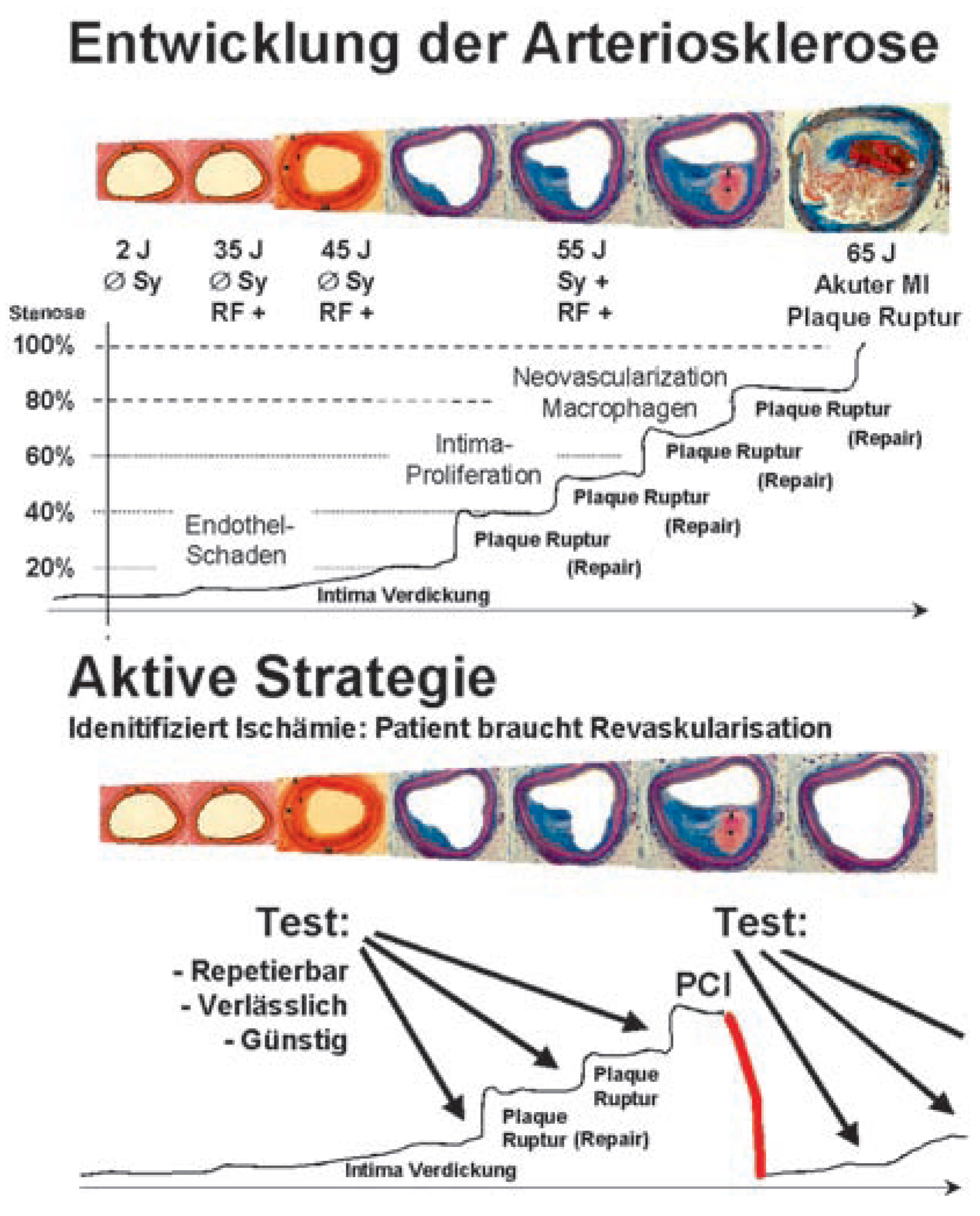 Cardiovascmed 10 00126 g002