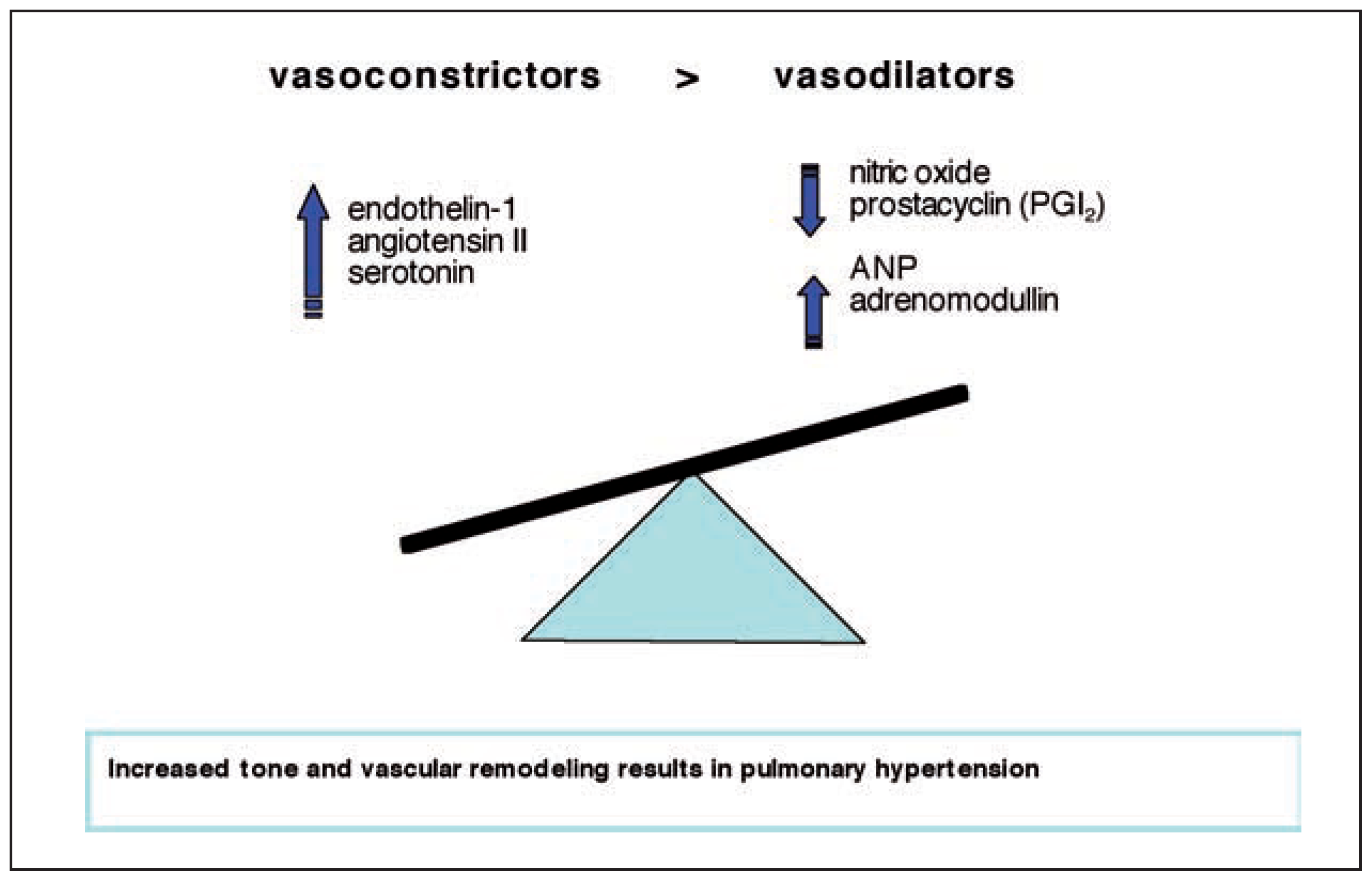 Cardiovascmed 10 00192 g002