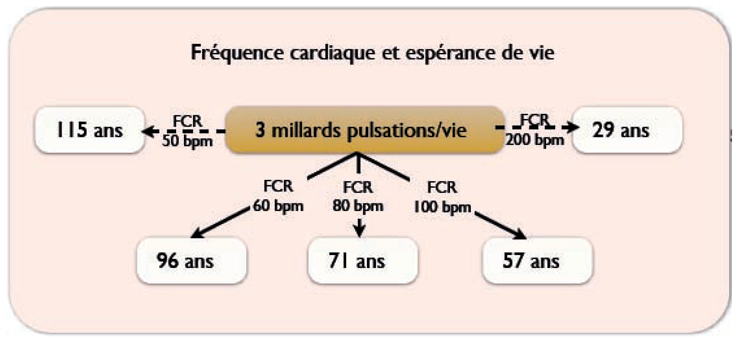 Cardiovascmed 10 00202 g003