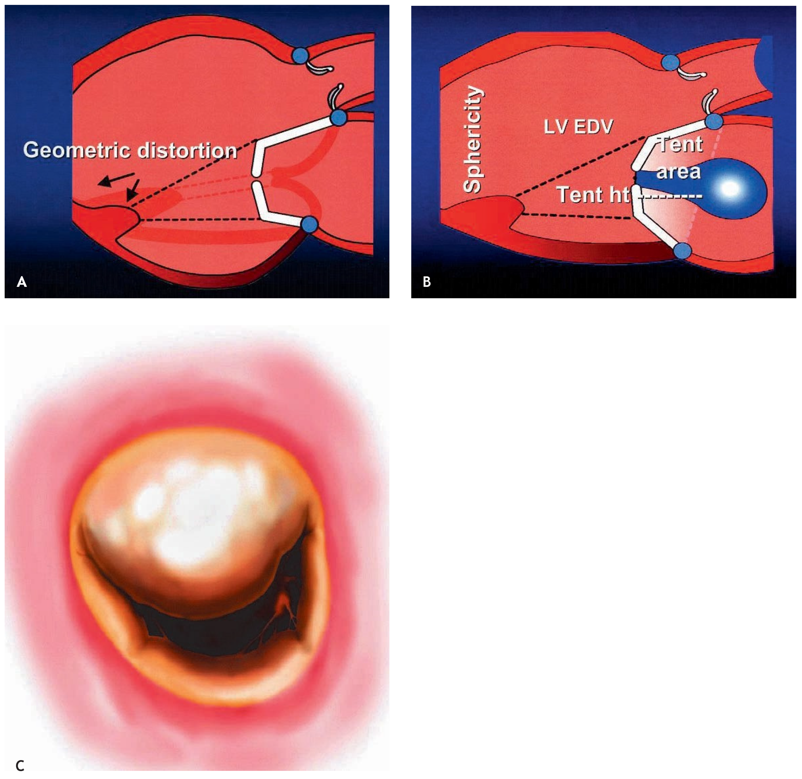 Cardiovascmed 10 00271 g001
