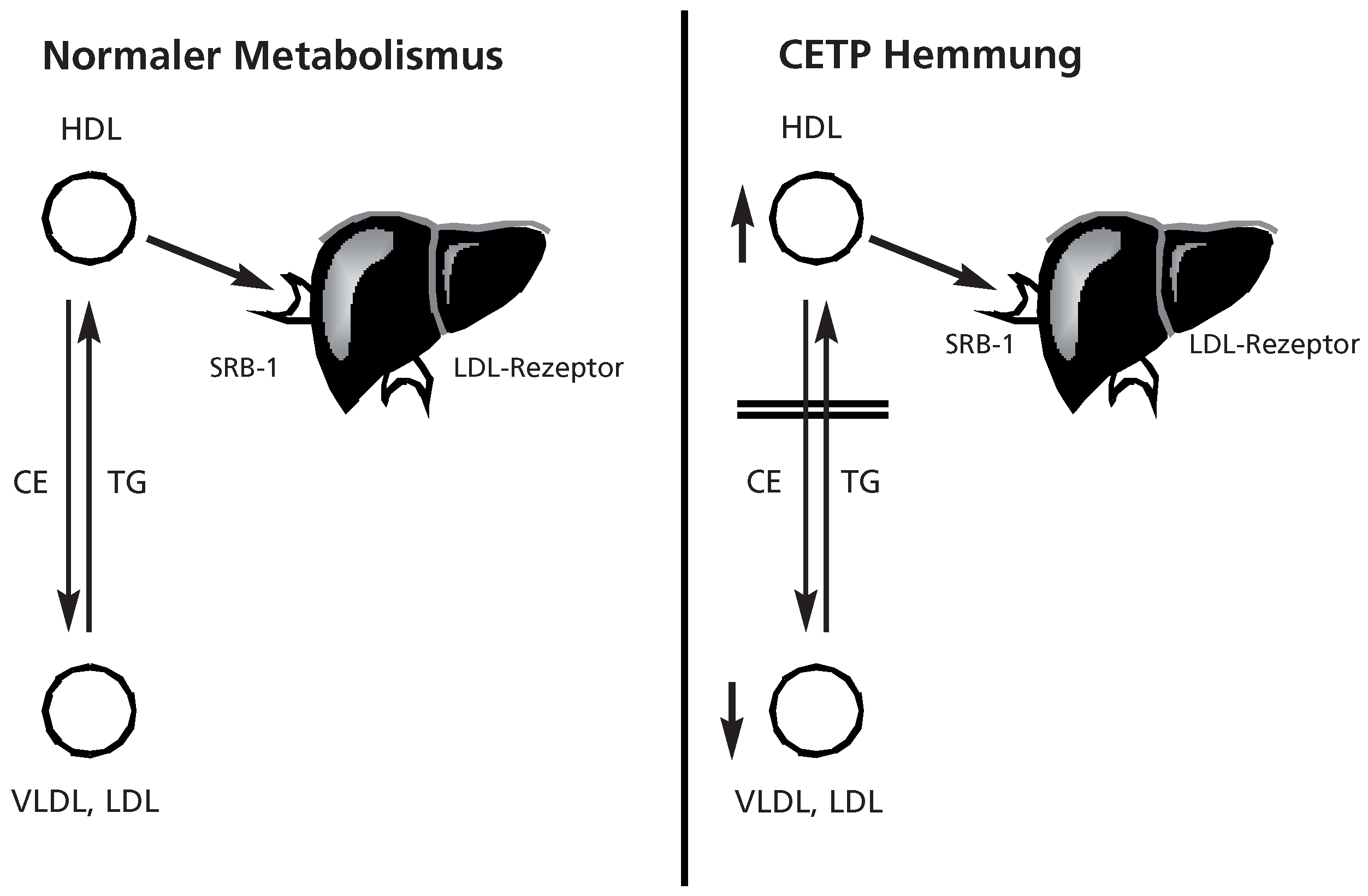 Cardiovascmed 10 00285 g002 Cardiovascmed 10 00285 g002