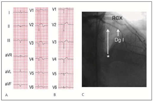 Cardiovascmed 11 00083 i002 Cardiovascmed 11 00083 i002