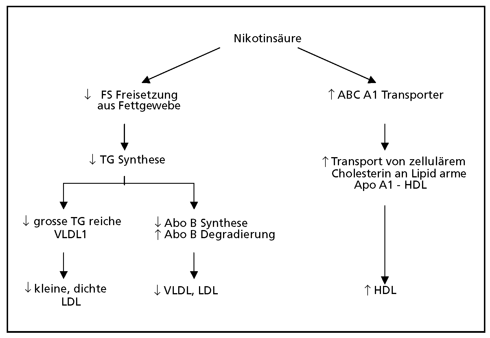 Cardiovascmed 11 00160 g001