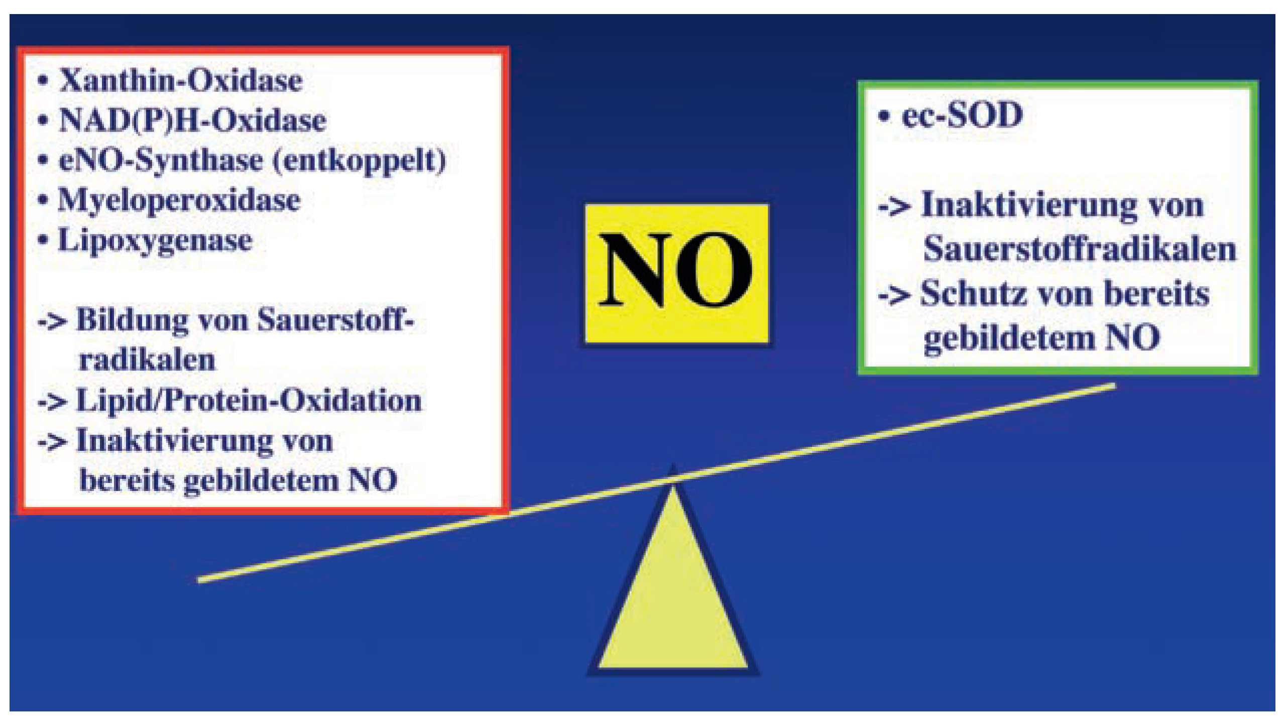 Cardiovascmed 11 00237 g005