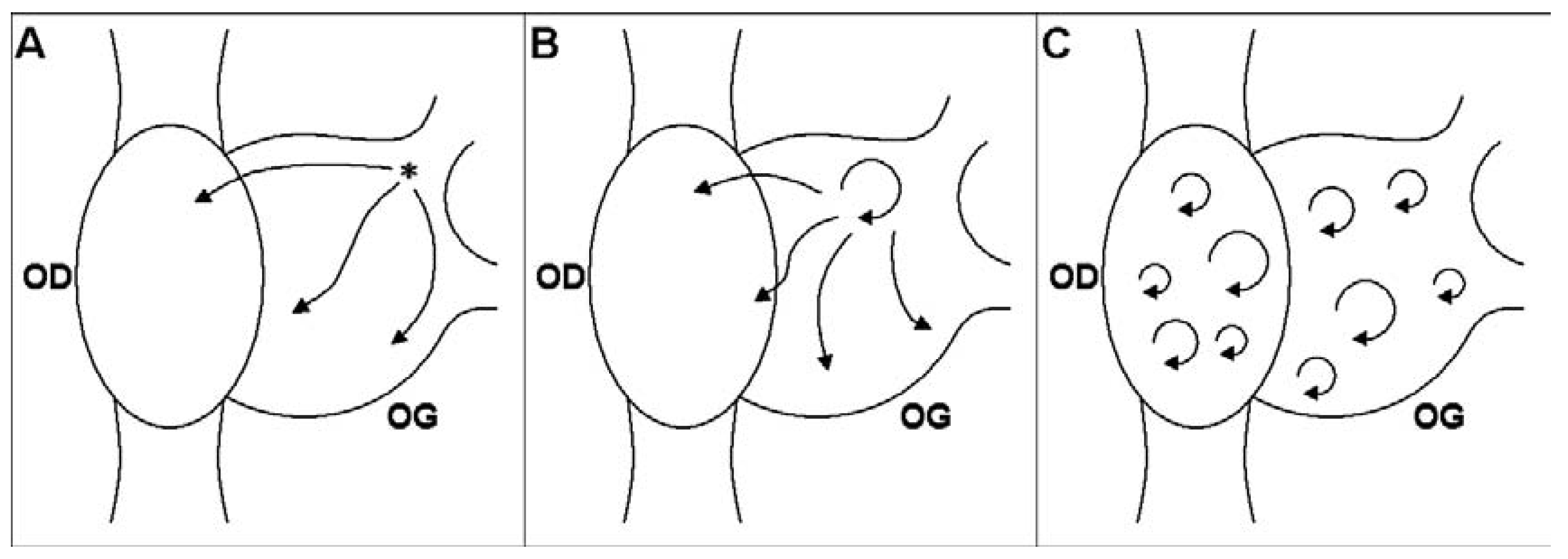 Cardiovascmed 11 00265 g001 Cardiovascmed 11 00265 g001
