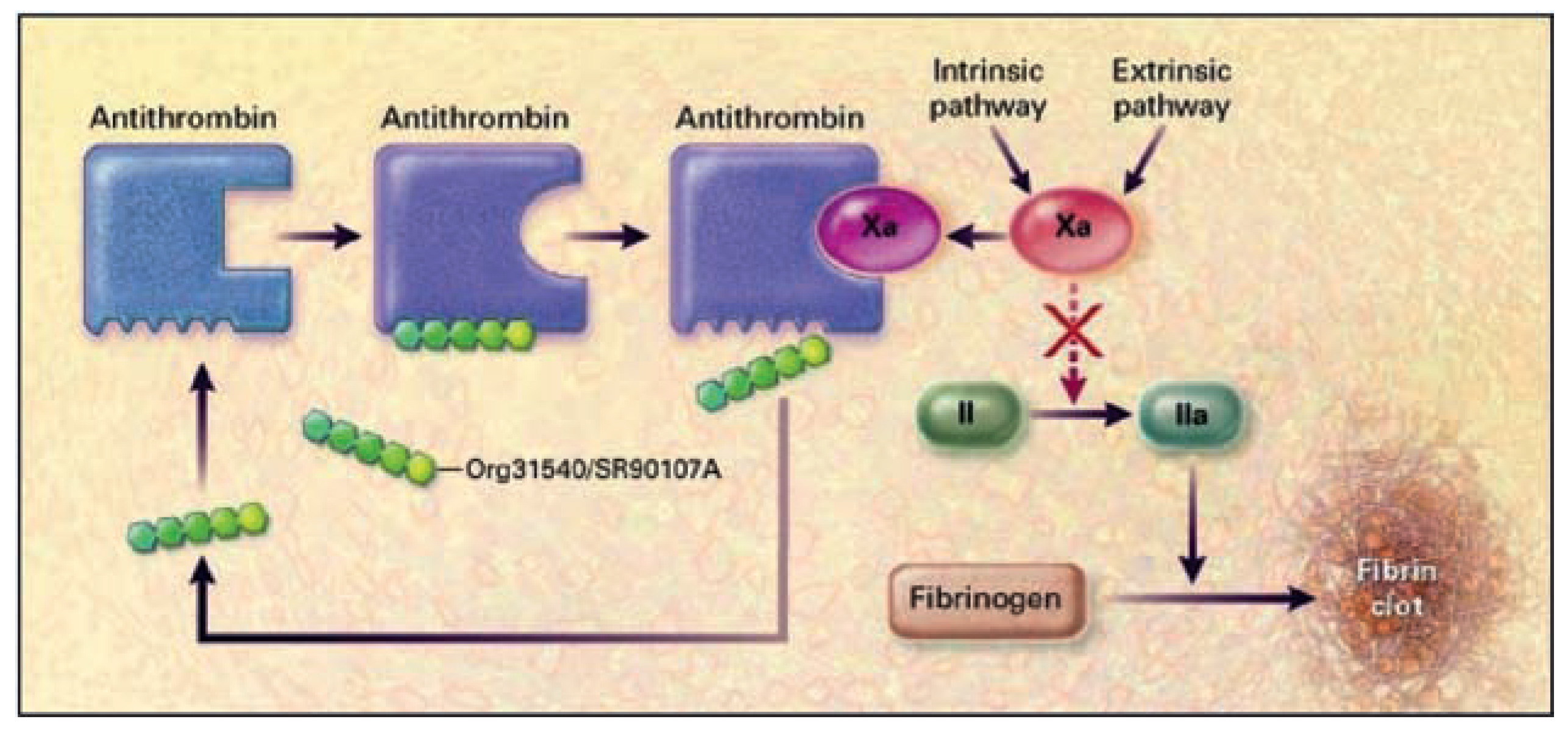 Cardiovascmed 11 00278 g001 Cardiovascmed 11 00278 g001