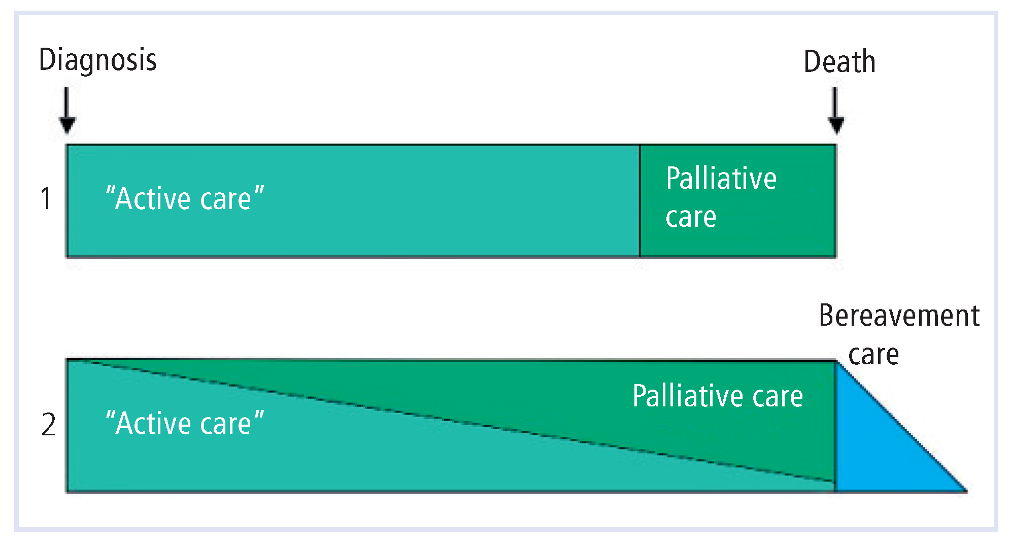 Cardiovascmed 12 00038 g002
