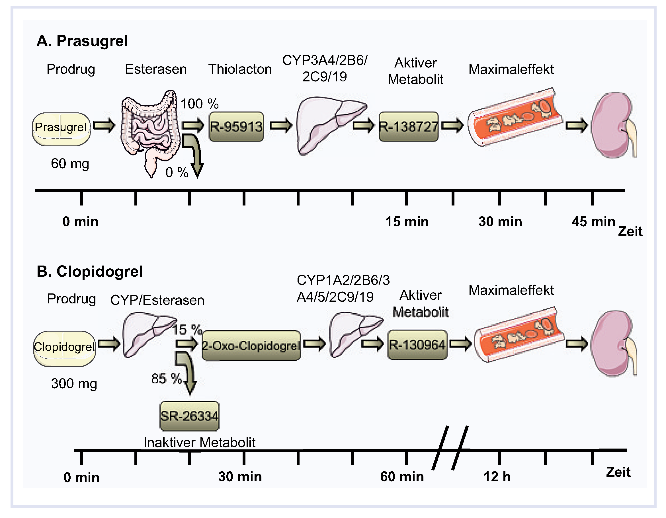 Cardiovascmed 12 00078 g002