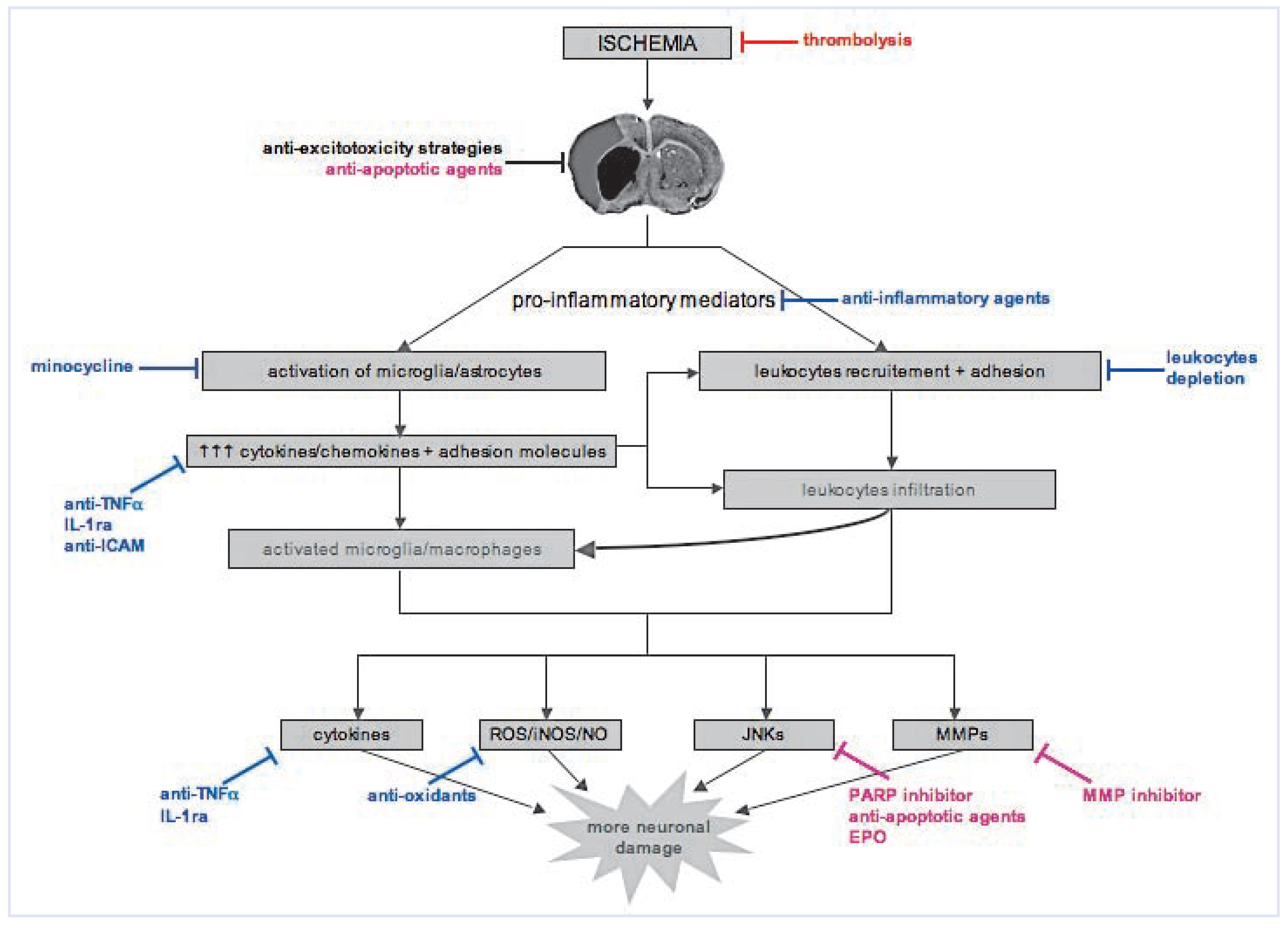 Cardiovascmed 12 00143 g004