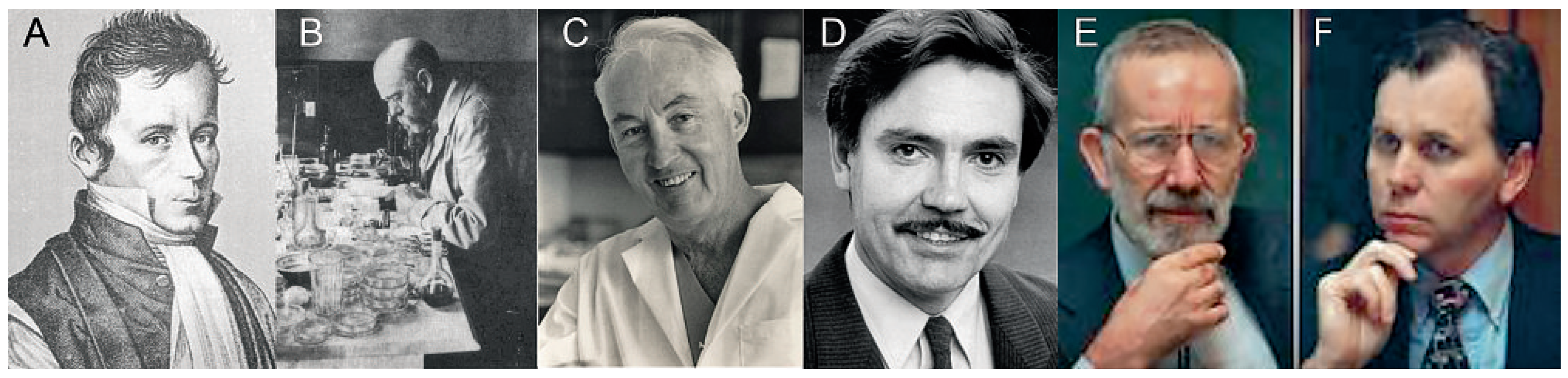 Cardiovascmed 13 00185 g001