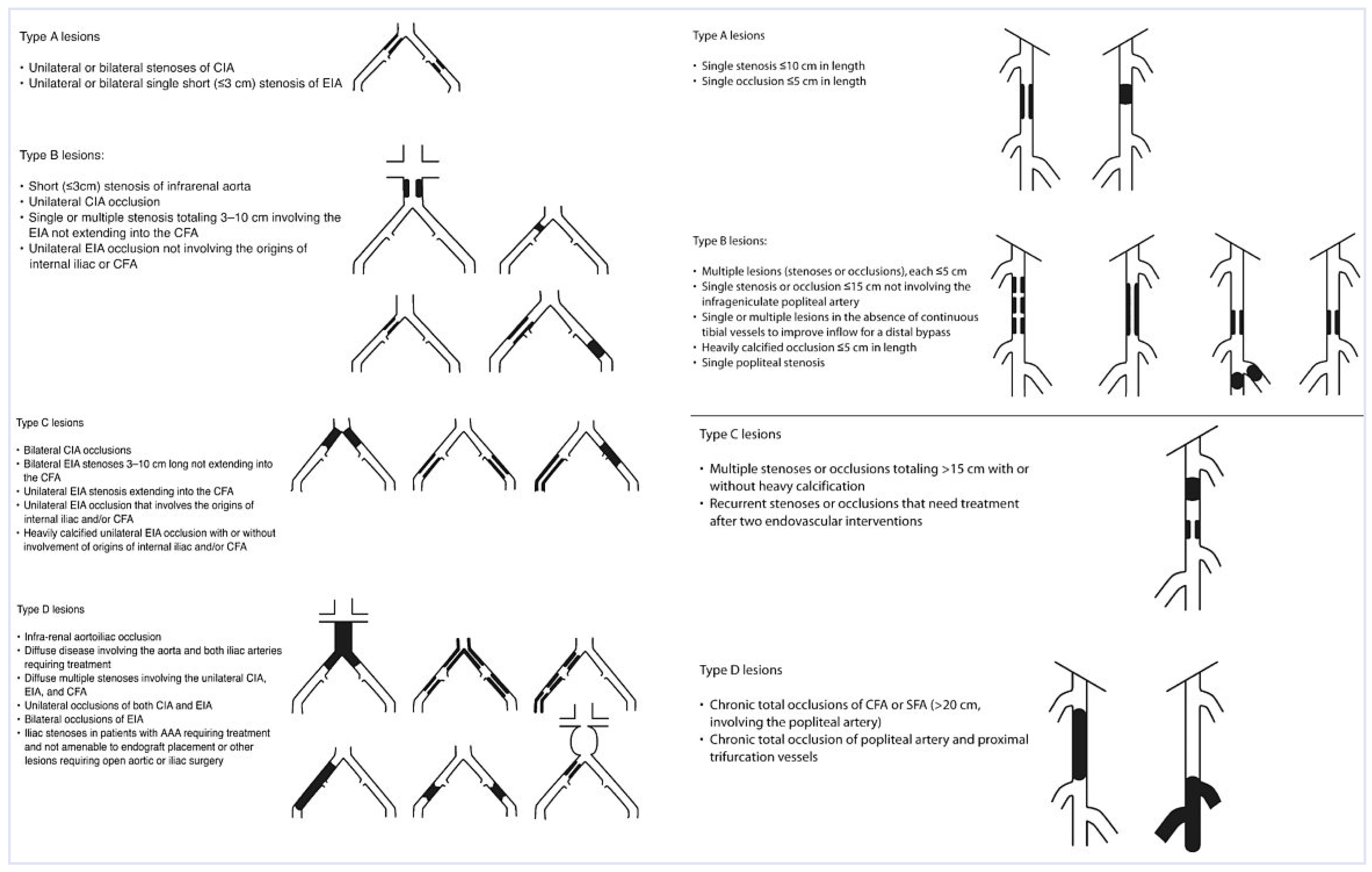Cardiovascmed 13 00221 g001