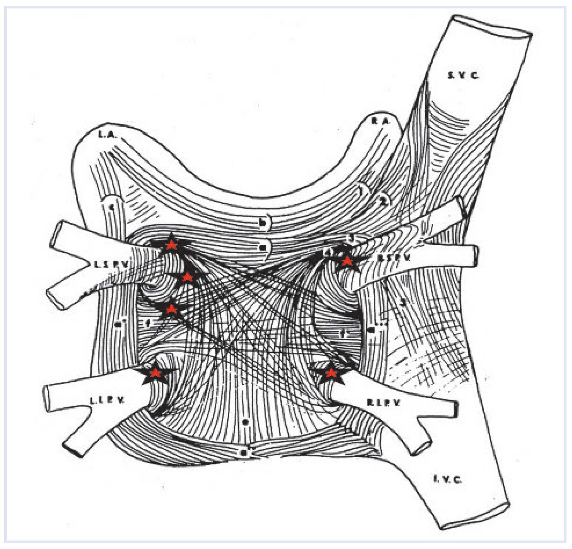 Cardiovascmed 13 00272 g002 Cardiovascmed 13 00272 g002