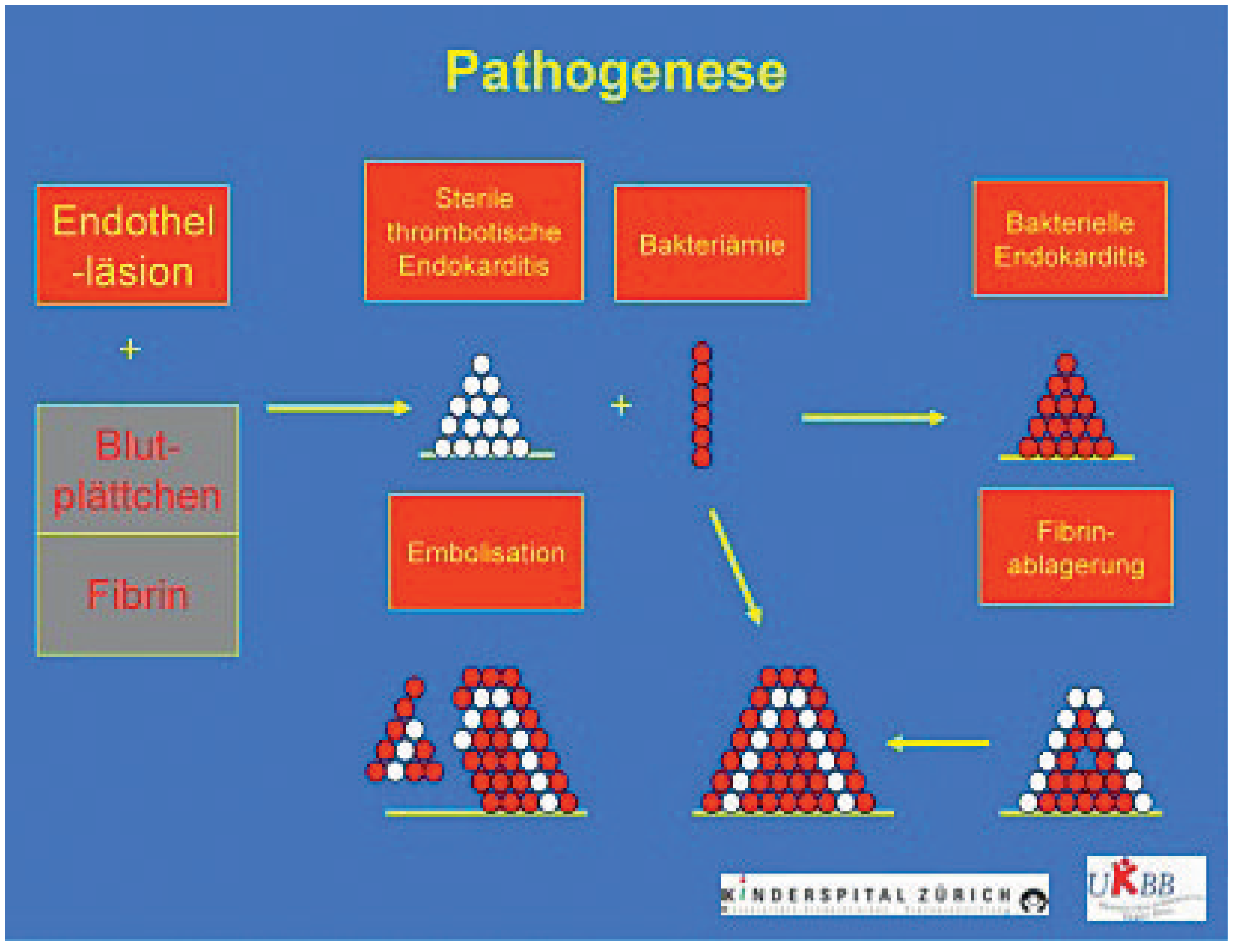 Cardiovascmed 13 00297 g003 Cardiovascmed 13 00297 g003