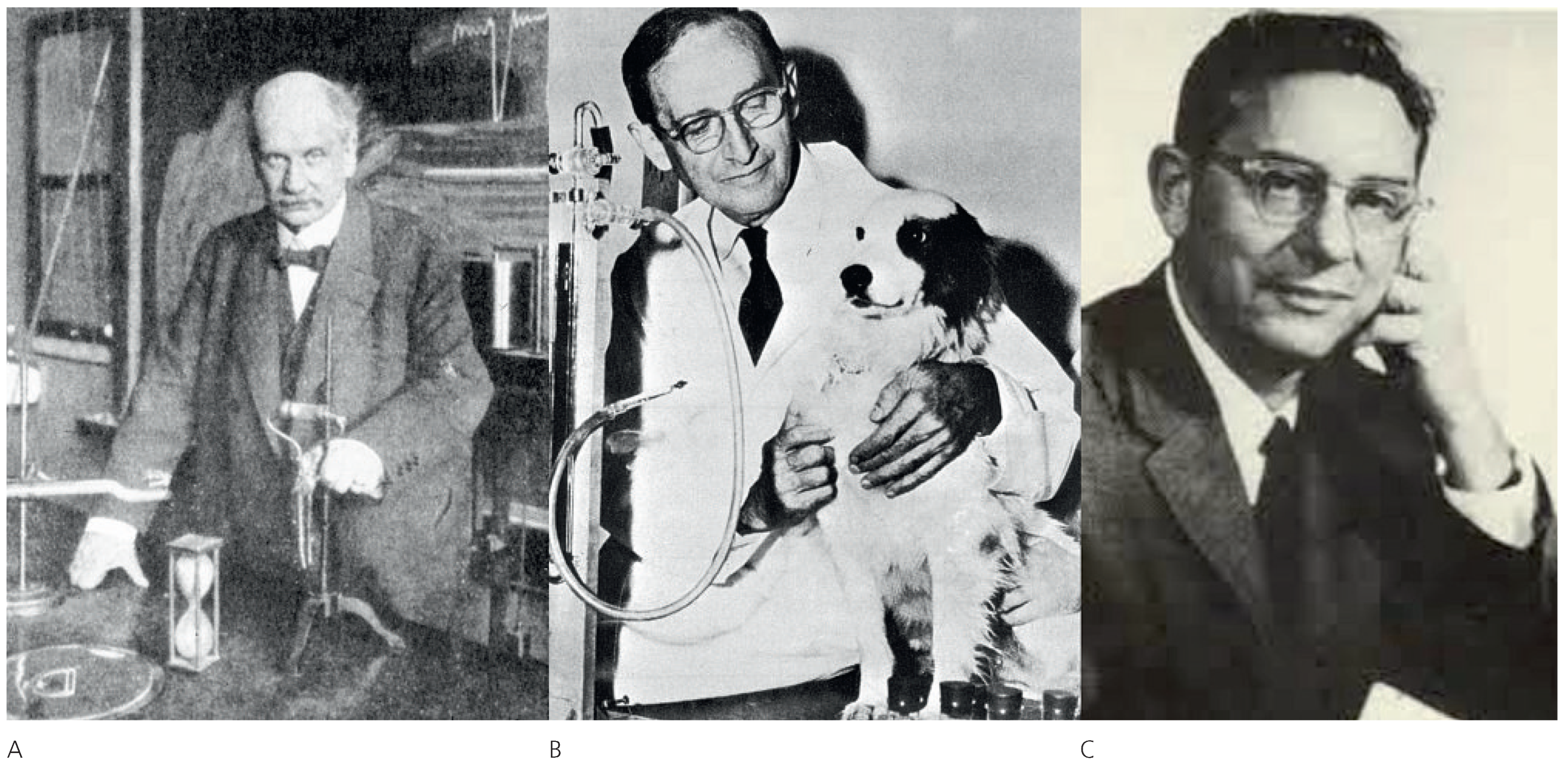 Cardiovascmed 13 00321 g004