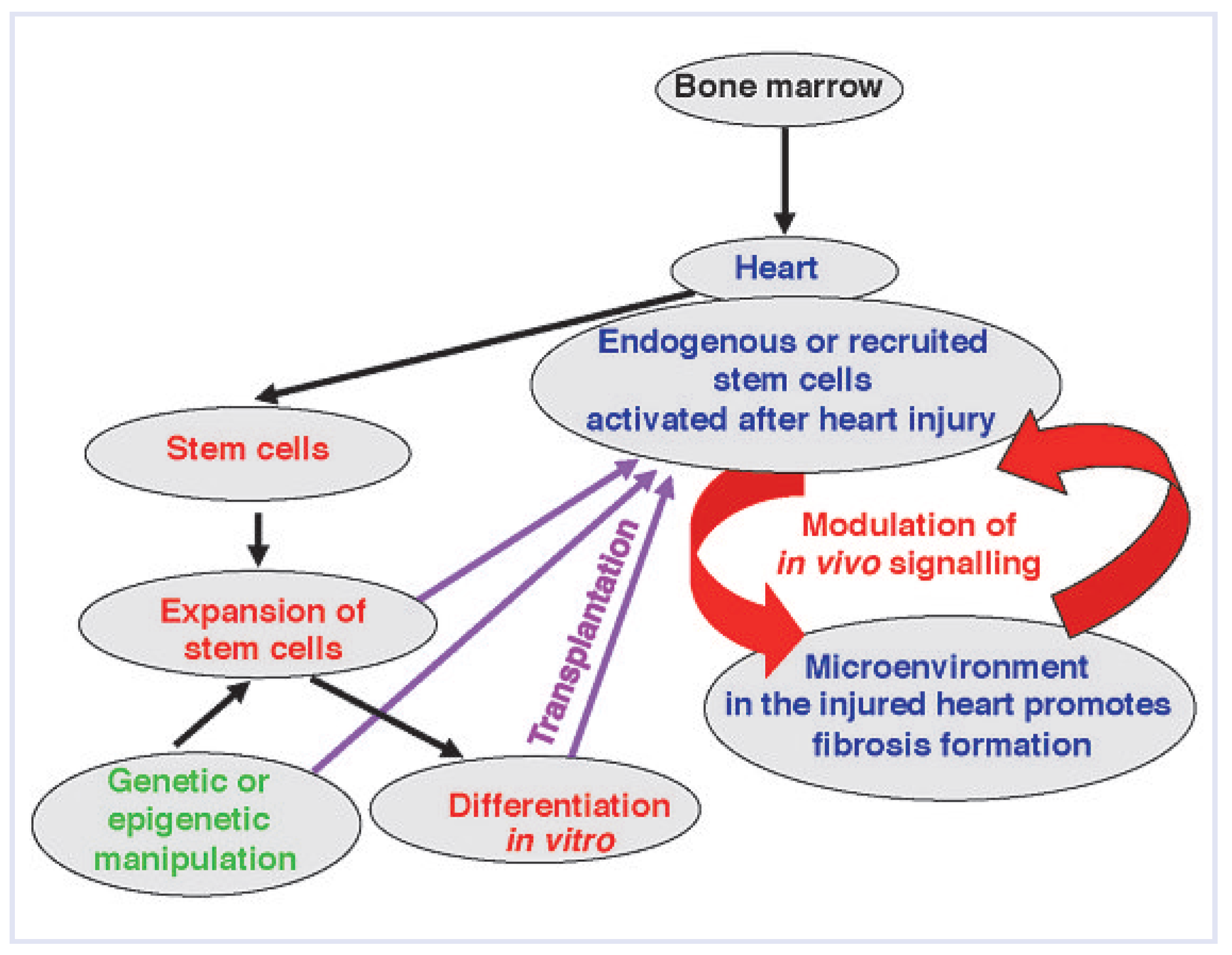 Cardiovascmed 14 00046 g004
